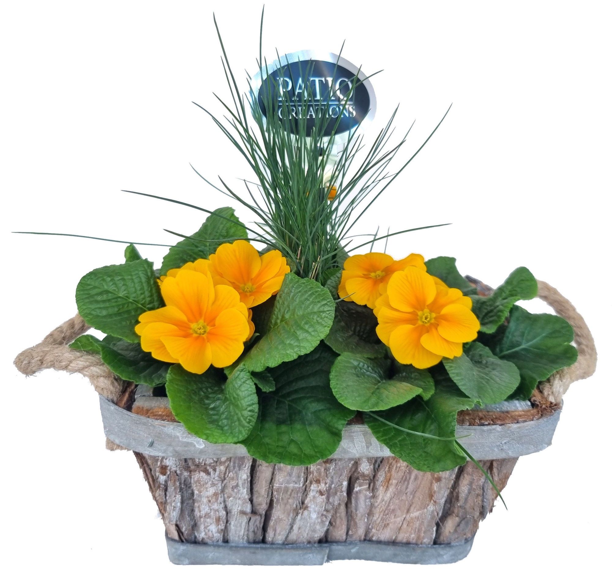 PRF651-9001 Primula/Festuca bosmand oren S, D 20