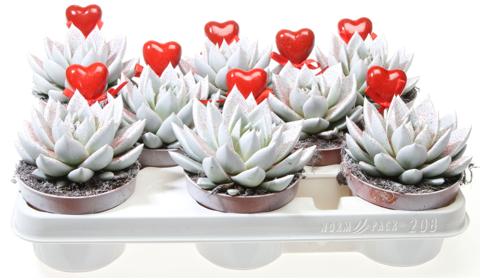 Miranda wit rode glitter + hartje, D 10,5 cm