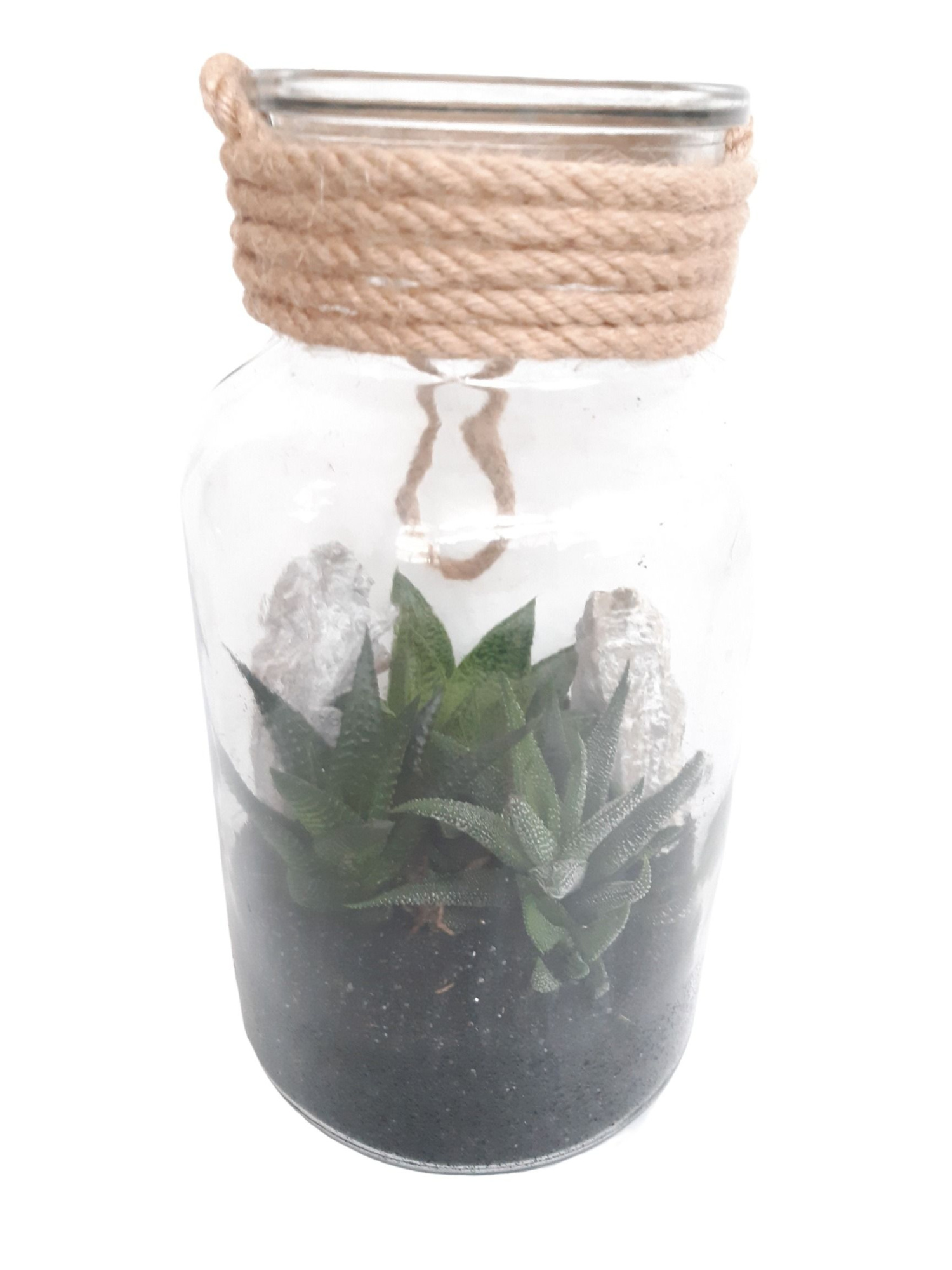 714 BS Fles / Terrarium 14/26 succulentmix Black Sand Deco, D 14 cm