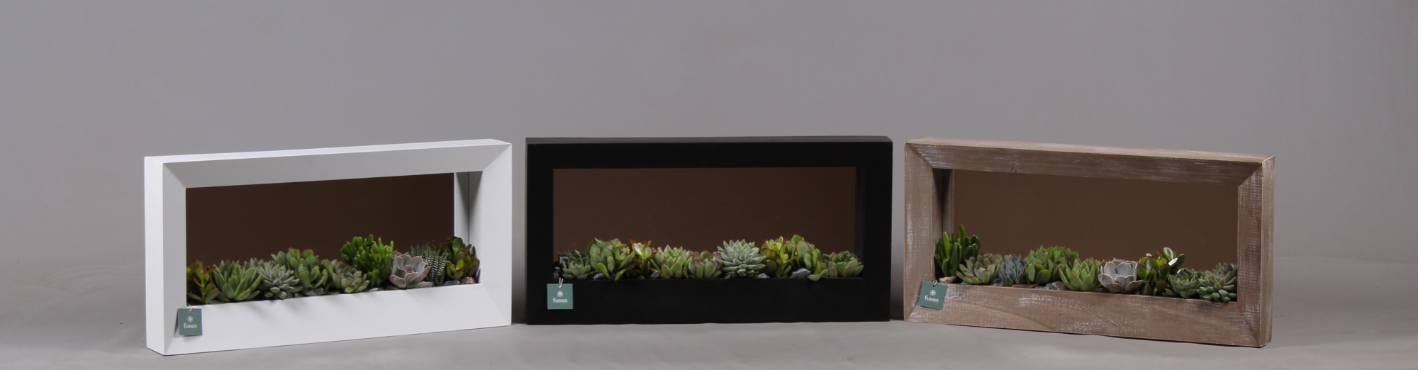 Schilderij hout met Succulenten, D 58 cm