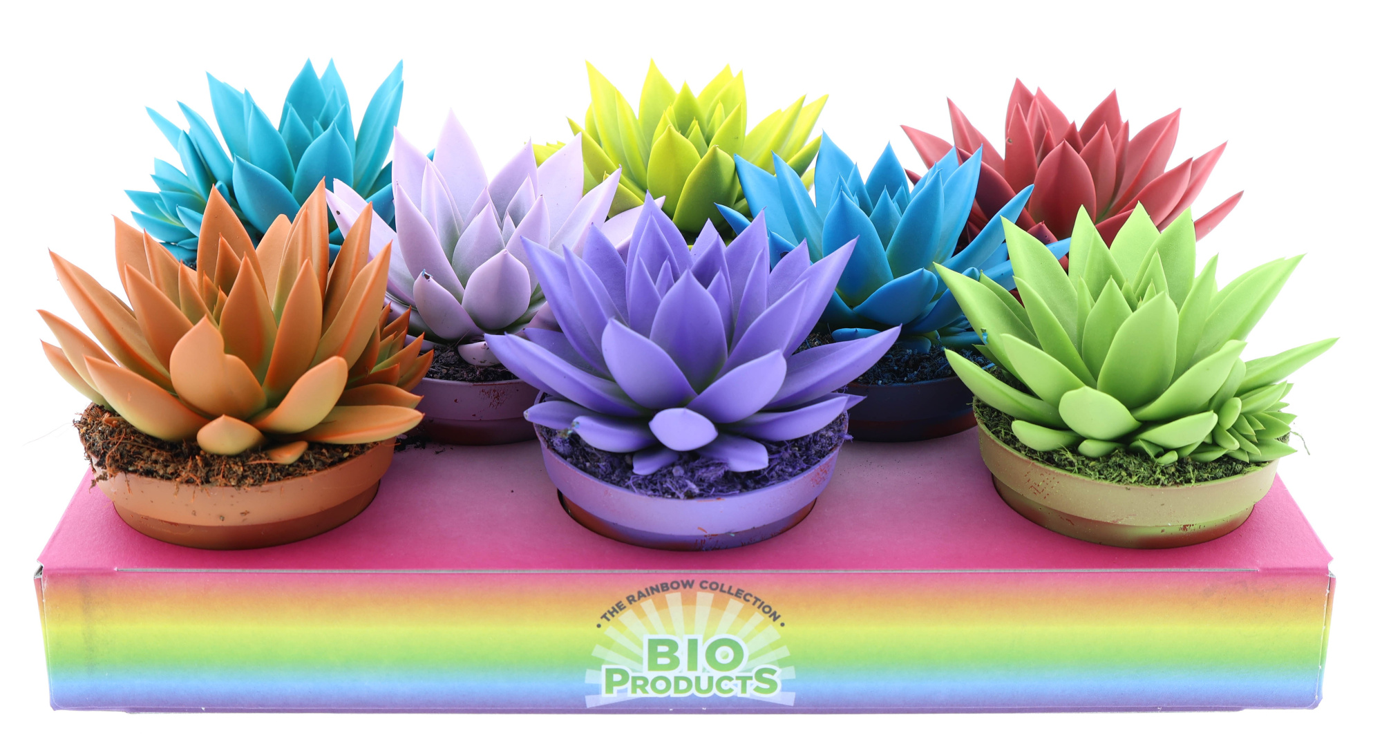 Rainbow mix, D 10,5 cm