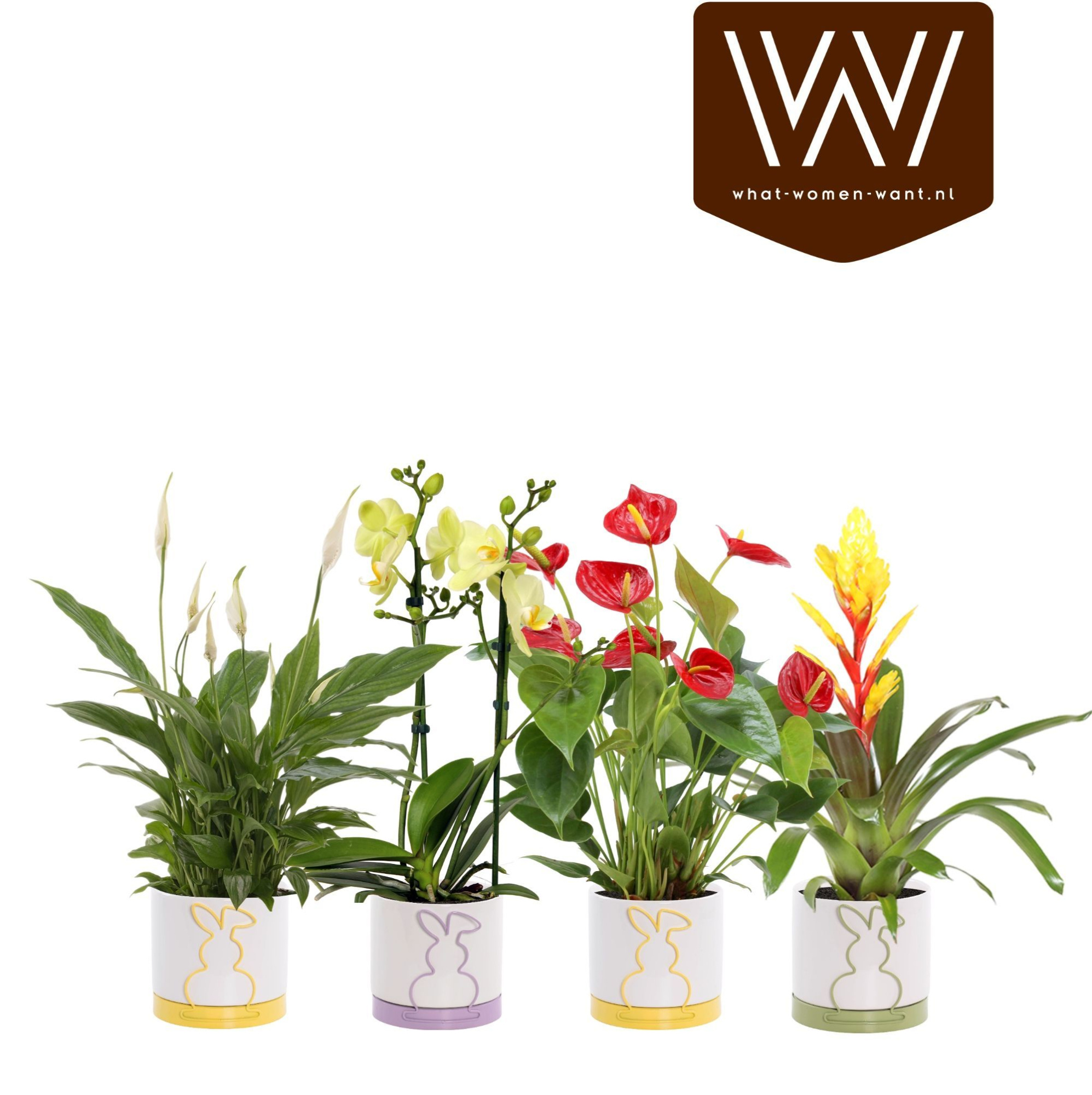 Bloeimix Emma Easter bunny, D 13