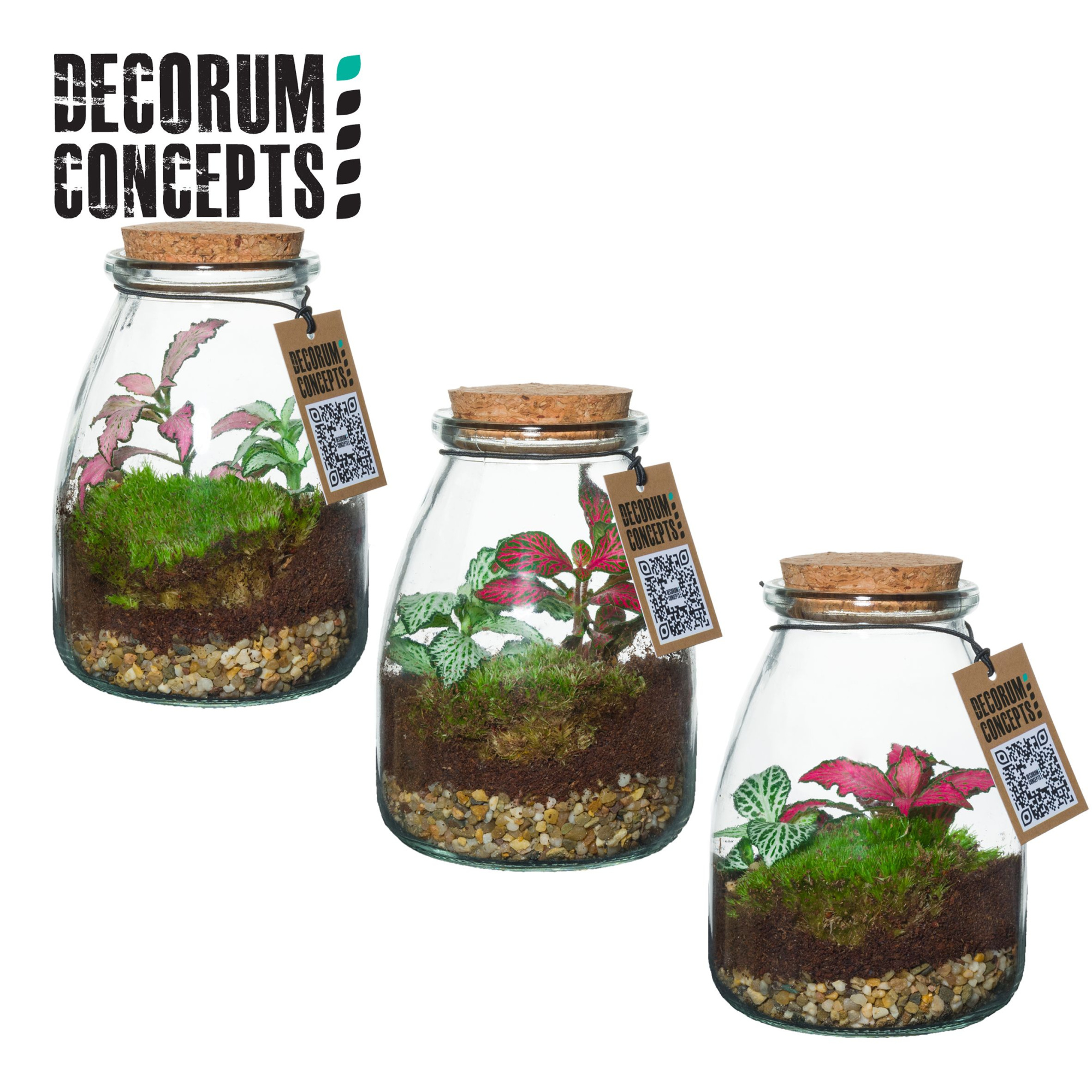 Terrarium IO (Decorum concepts), D 9 cm