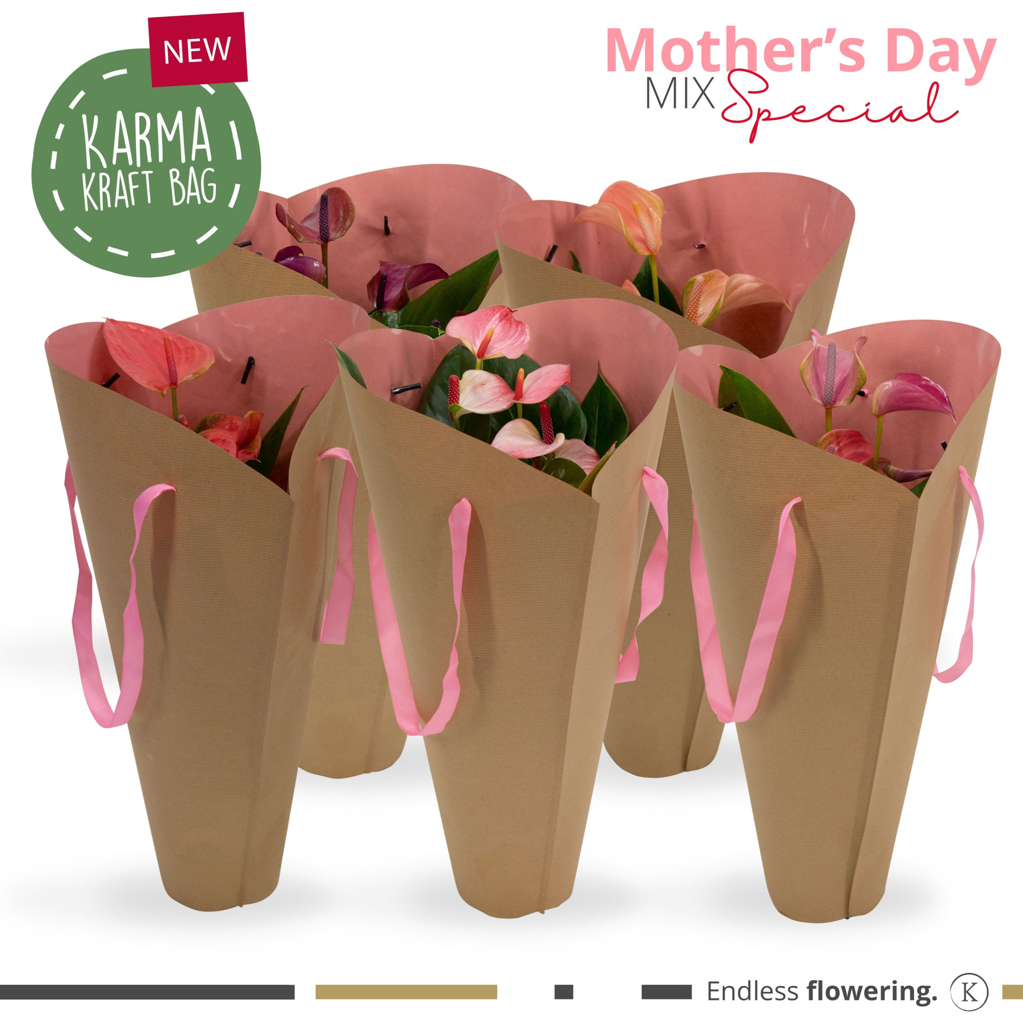 Anthurium - KARMA Pink mix Gift bag | 12cm, D 12 cm