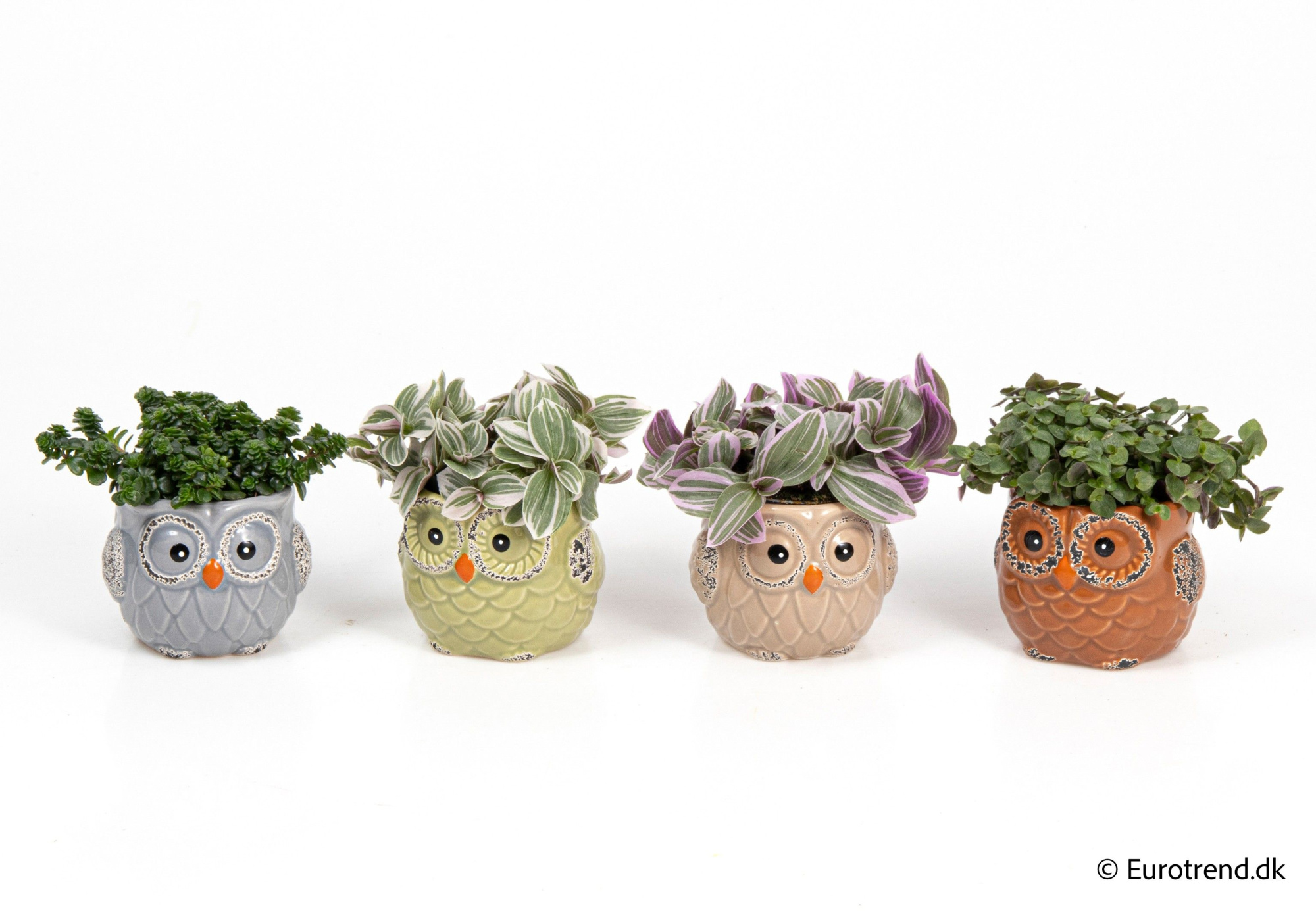 Green mix in owl ceramic - Spring, Summer & Autumn 2025, D 6 cm