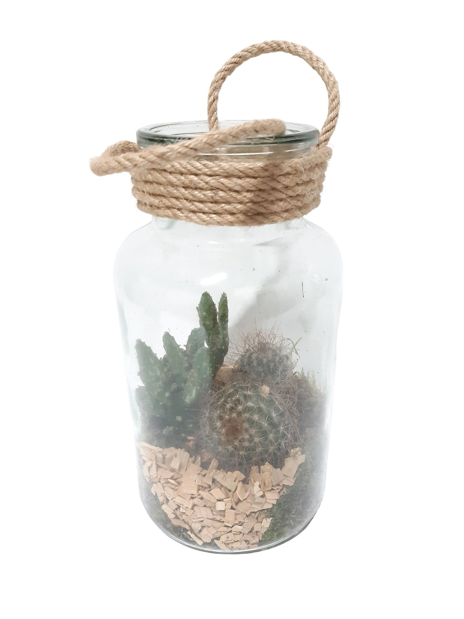 714 CTS Fles / Terrarium 14/26 mini Cactusmix, D 14 cm