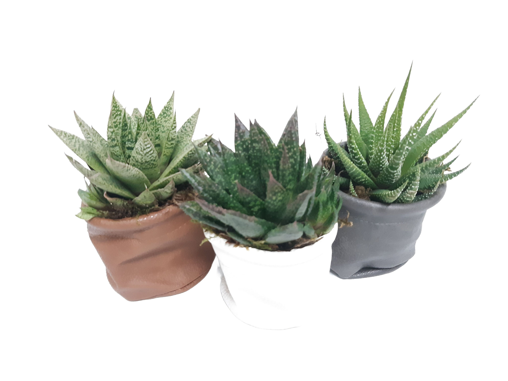 LB8THY MiniLeather Bag Succulentmix, D 8 cm