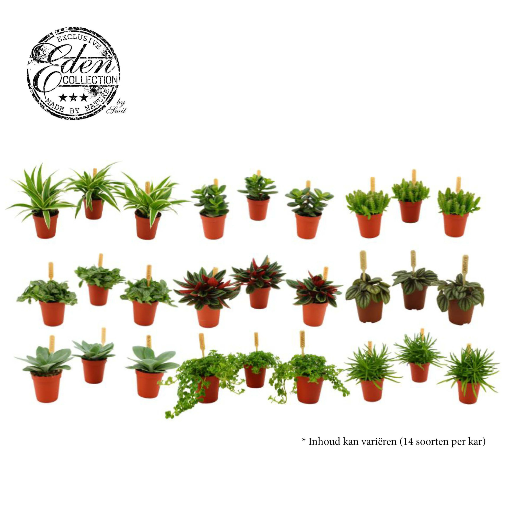 mix kar 5,5cm, D 5,5 cm