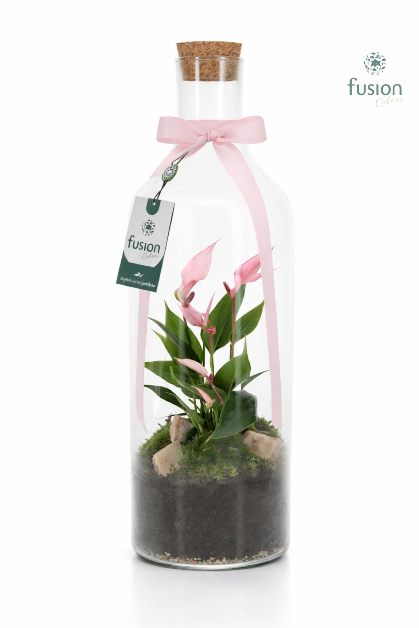 Green Bottle Fles Medium met Anthurium, D 15