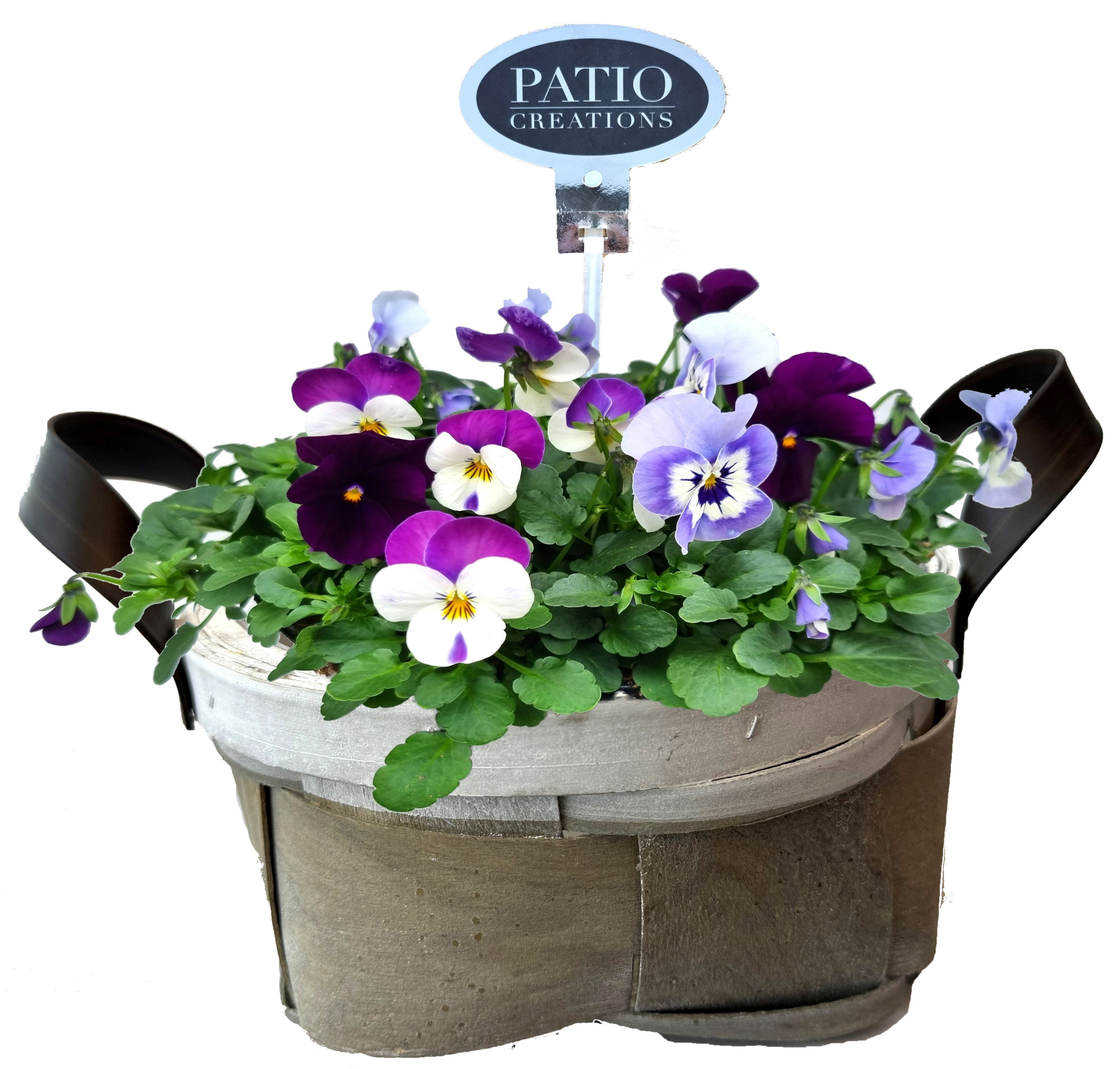 V828-9323 Viola Fenna lederlook handvat rond, D 24