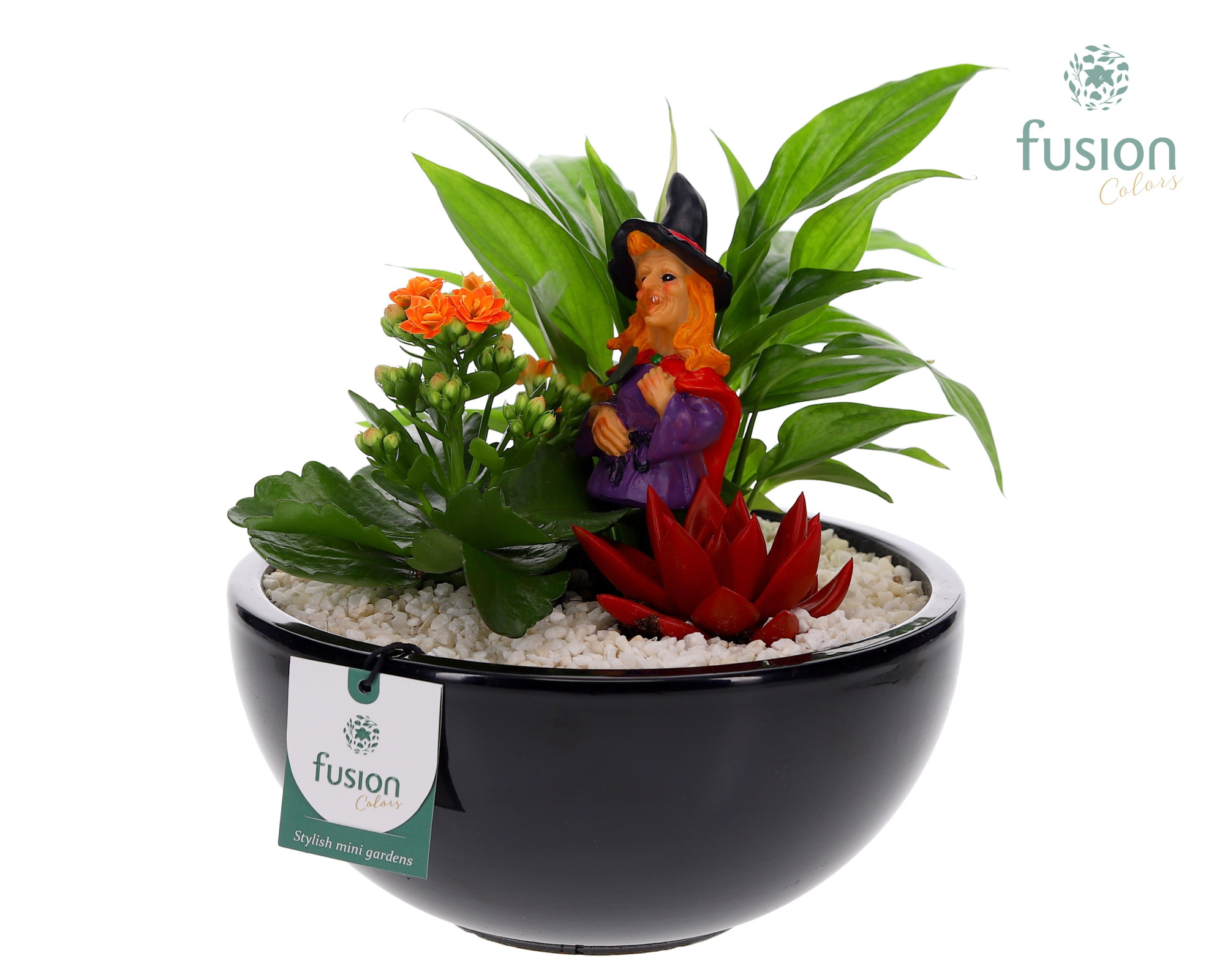 Halloween keramieken schaal rond zwart D23, D 23