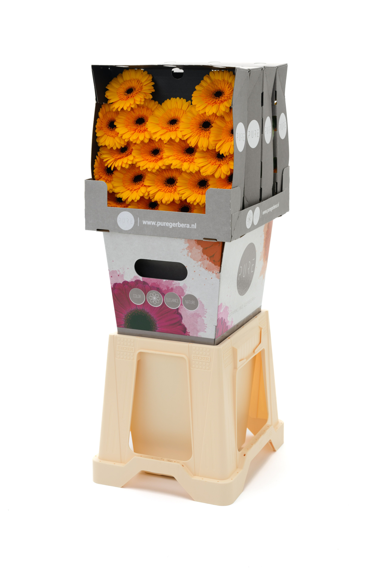 Гермини Твити, шт.