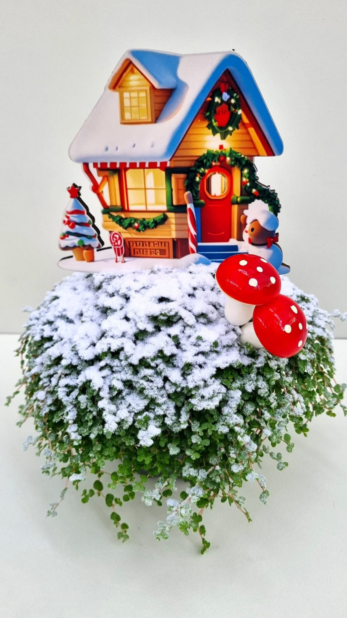 K78 Huis met paddenstoelen, D 13 cm