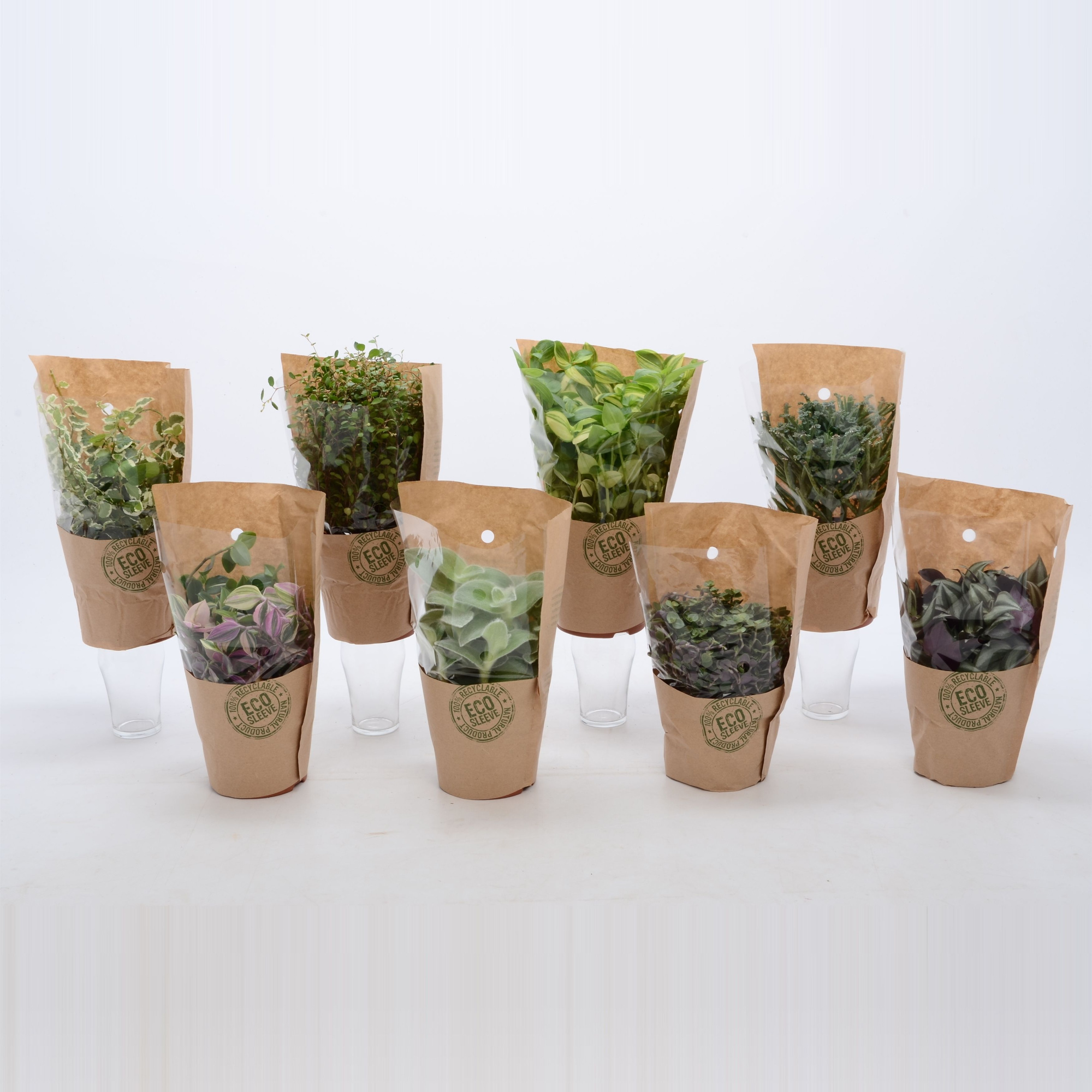 Groen Mix 12cm - Compact - Eco Hoes, D 12 cm