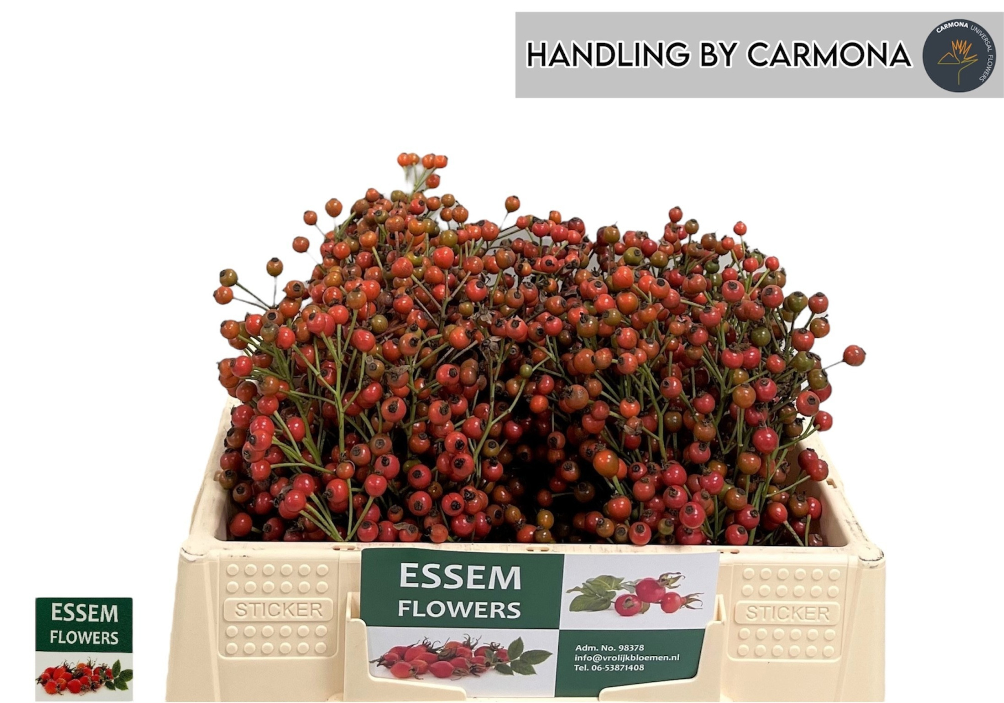 Рузботель Пленти 30, шт.