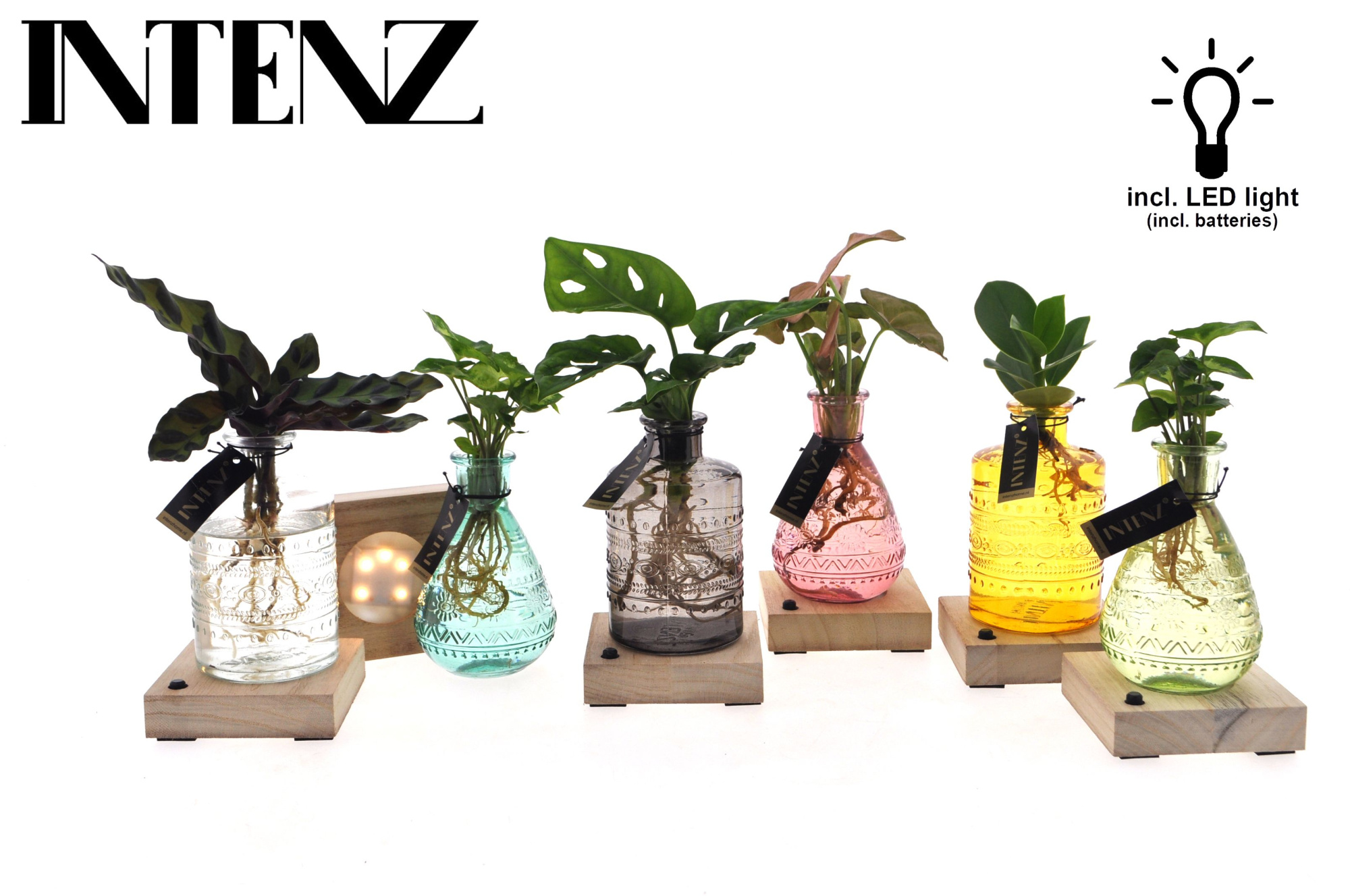 Mix in Salinas glas + LED - levertijd: 24 uur, D 7 cm