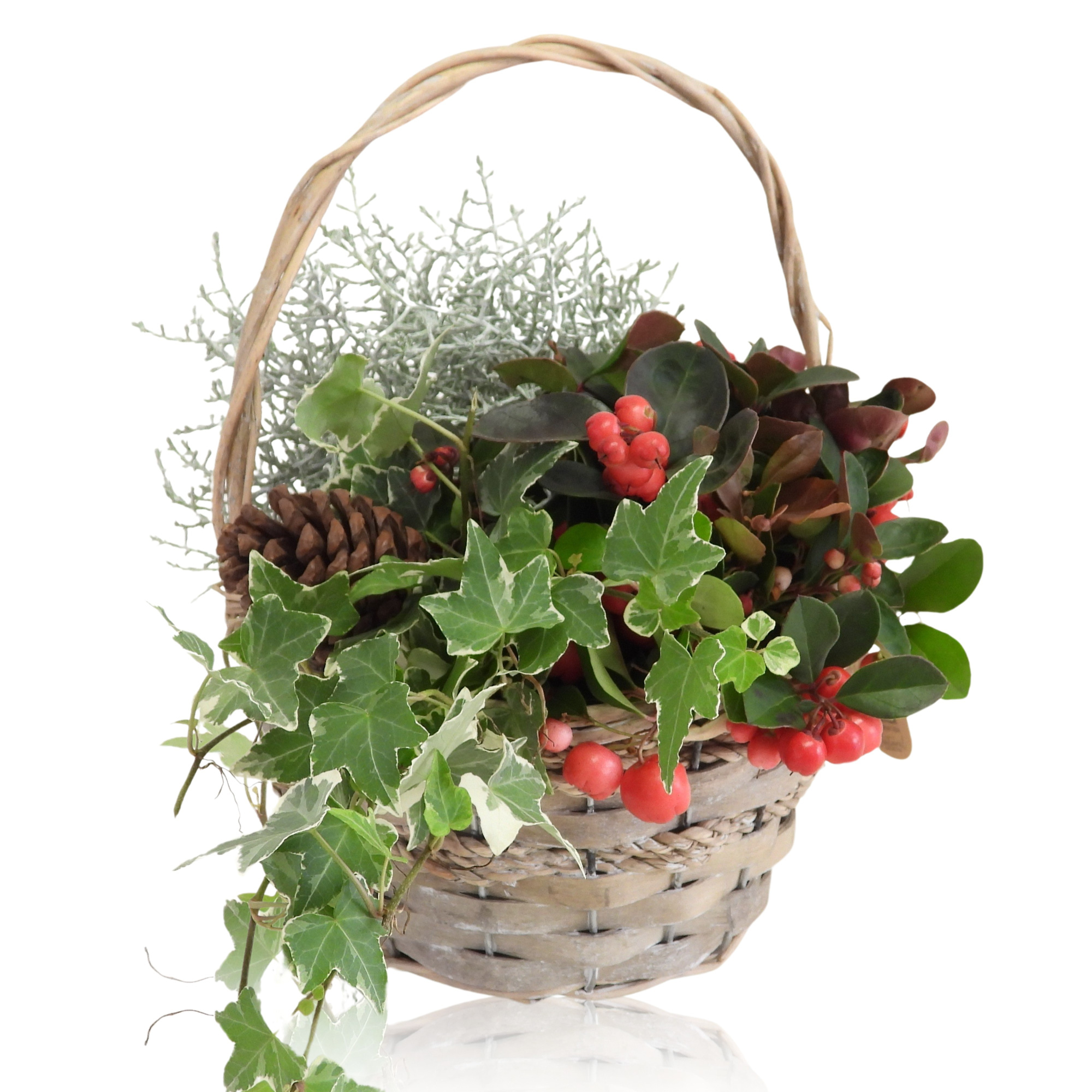 Arrangement Winter Specials in Hengselmand 17 cm, D 17