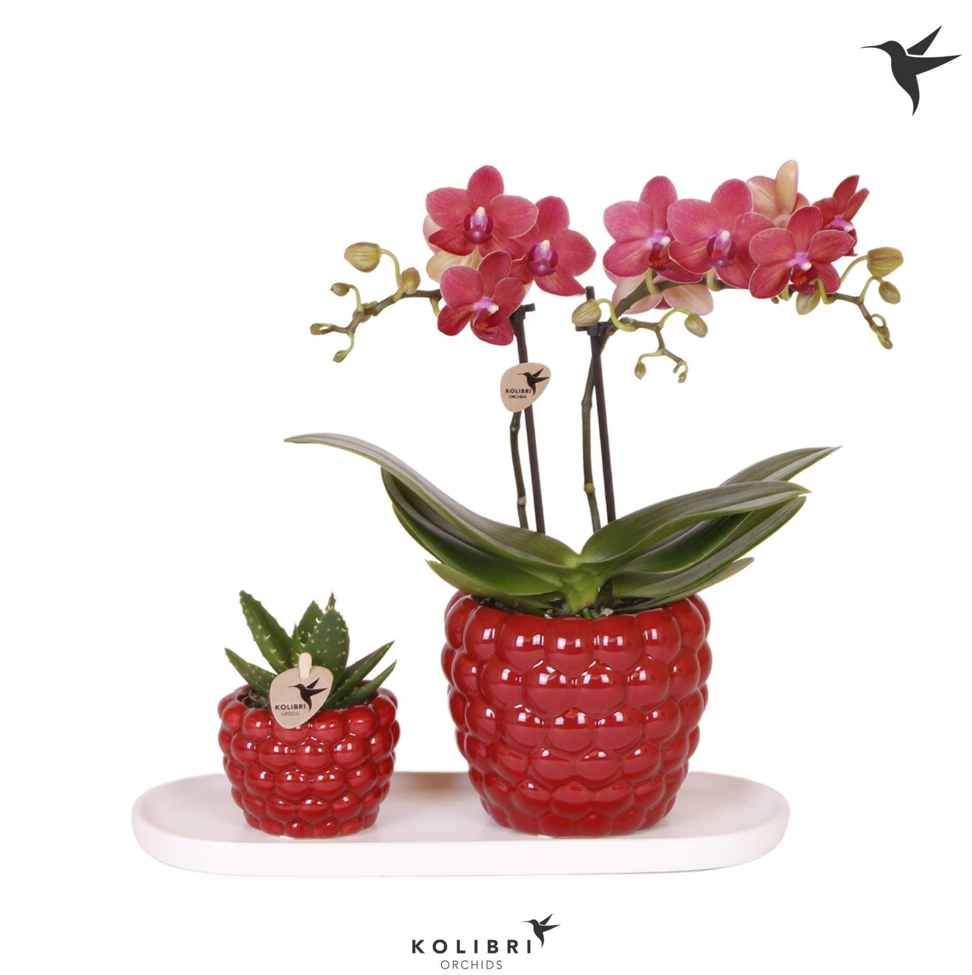 Kolibri Gift Set small Berry, D 18 cm
