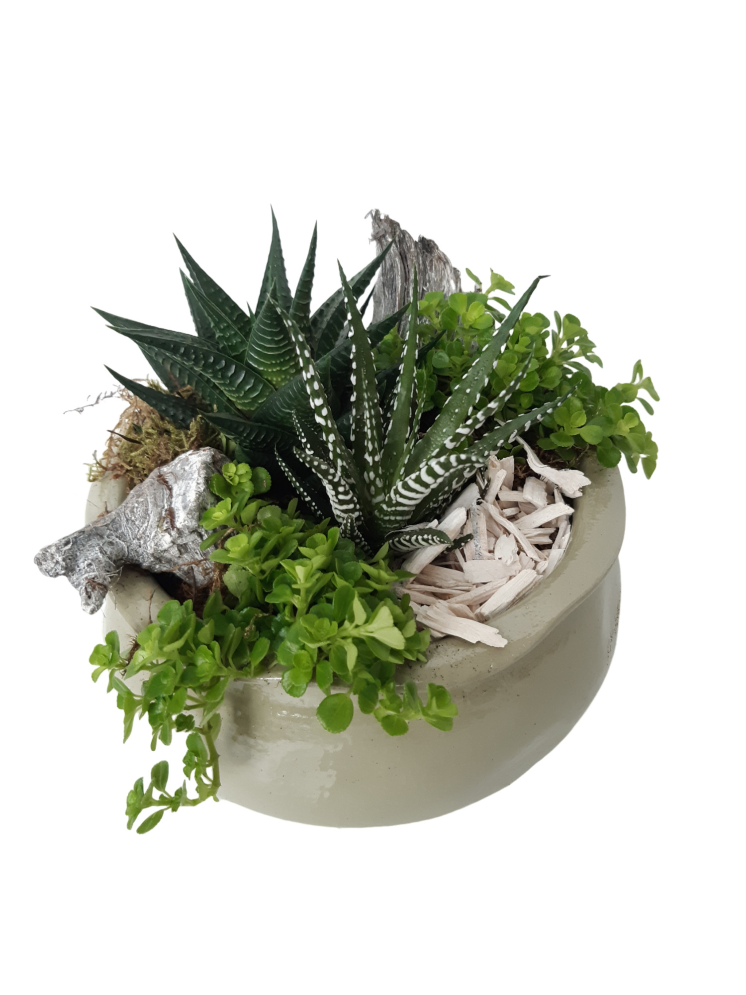 Schaal Dots 20cm Groen minimix, D 20 cm