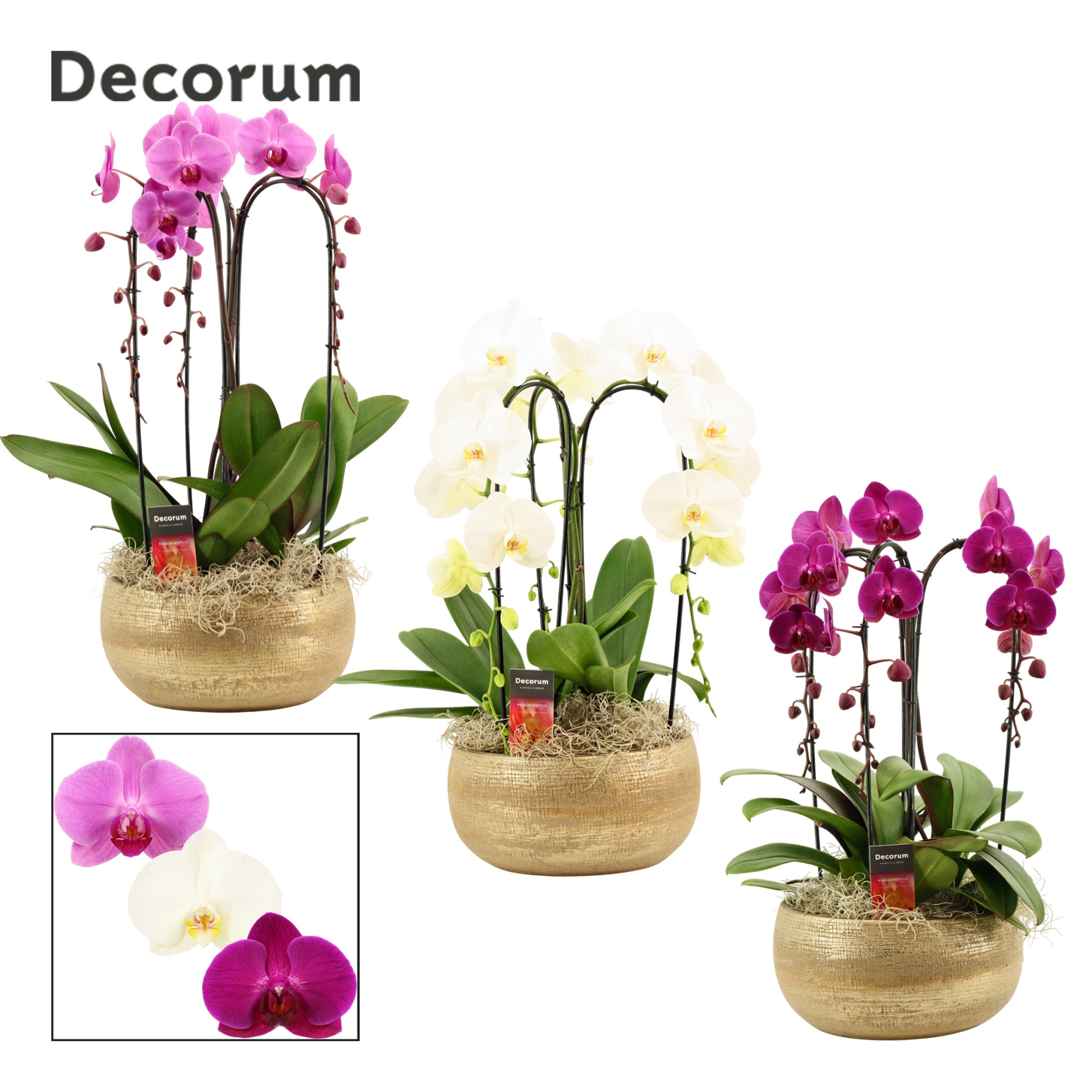 Aurelie cascade 3 tak symphony mix (Deco-collection), D 27 cm