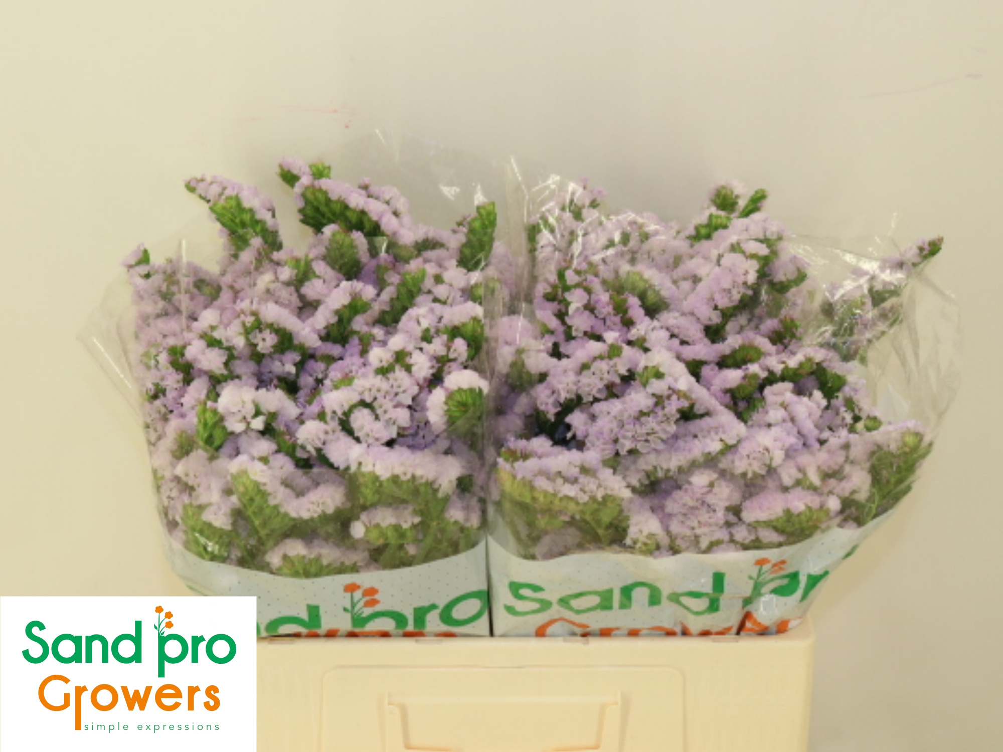 Статица Тесса Лавендер 60, шт.