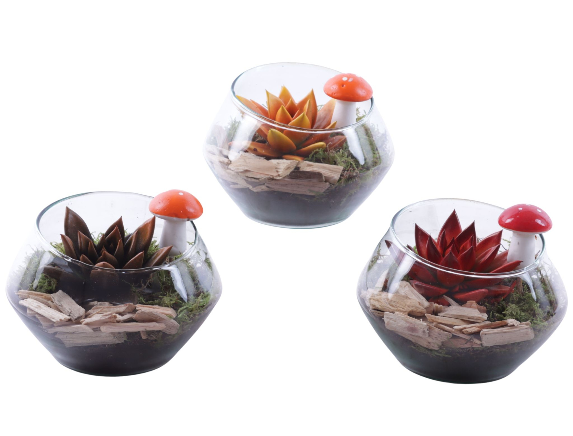 Autumn Arr. Succulent Glass Oblique UFO Vase Ø15cm 1PP, D 15 cm