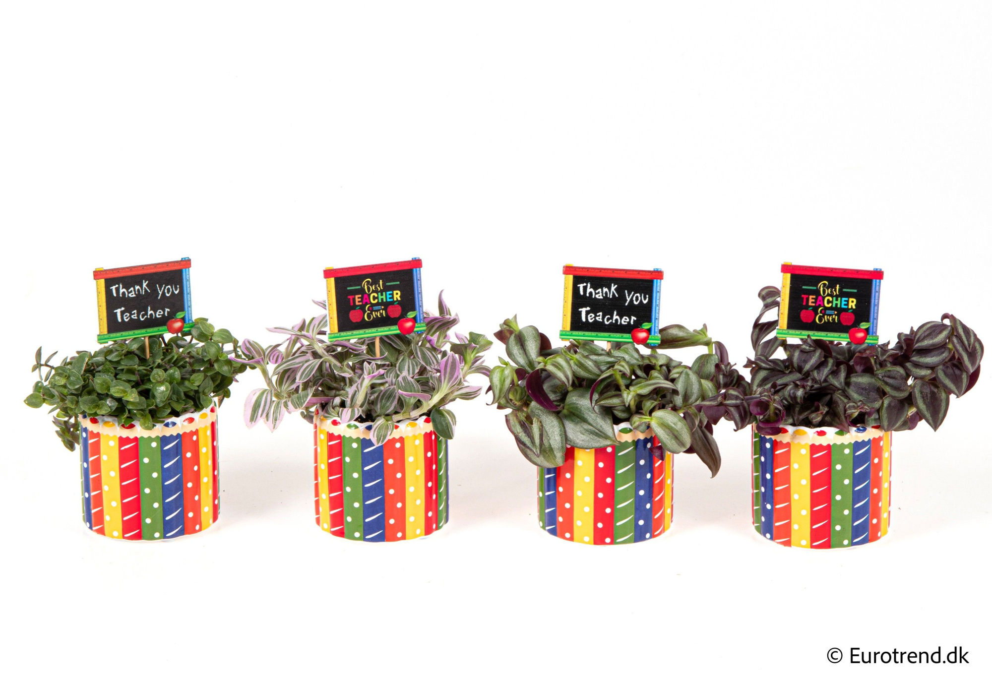 Green mix in pencil ceramic - Spring, Summer & Autumn 2025, D 6 cm