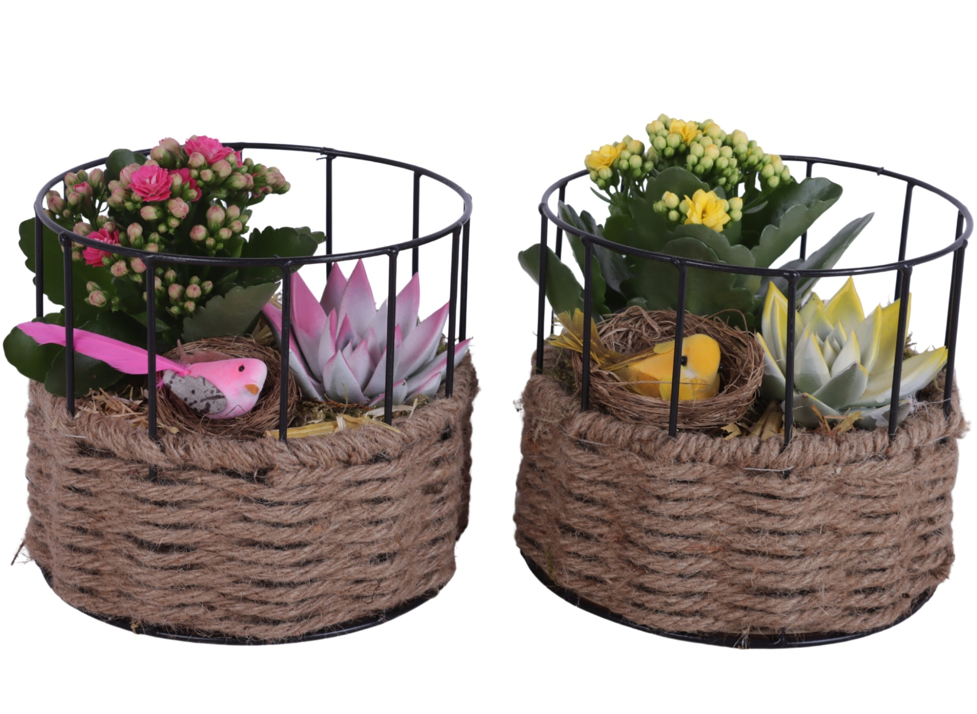 Easter Arr. Indoor Metal Frame Rope pot Round Ø17cm 2PP, D 17