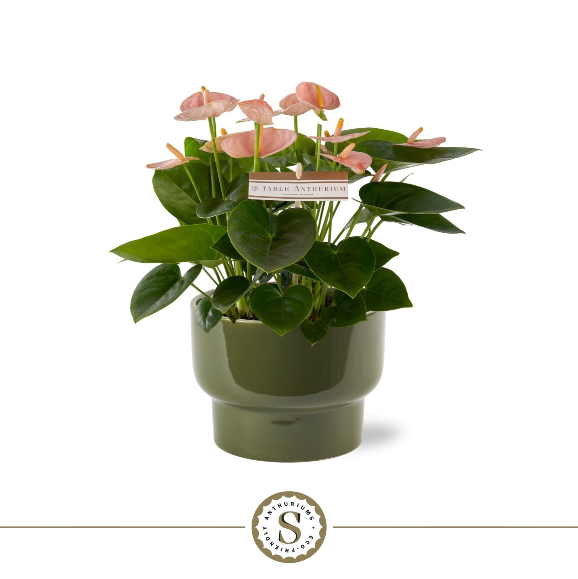 Athene Keramiek Green - Spirit, D 17 cm