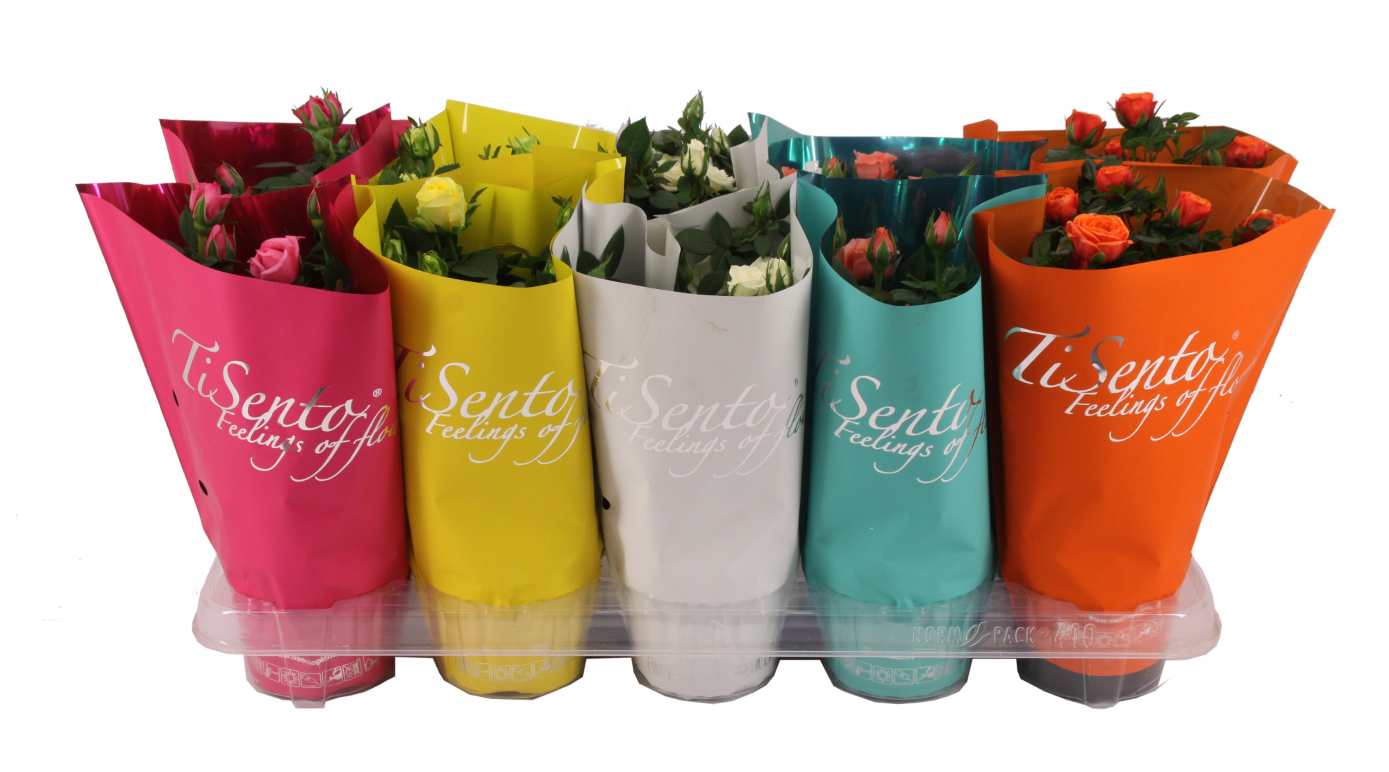 Potroos 10.5 cm Zomer, D 10 cm