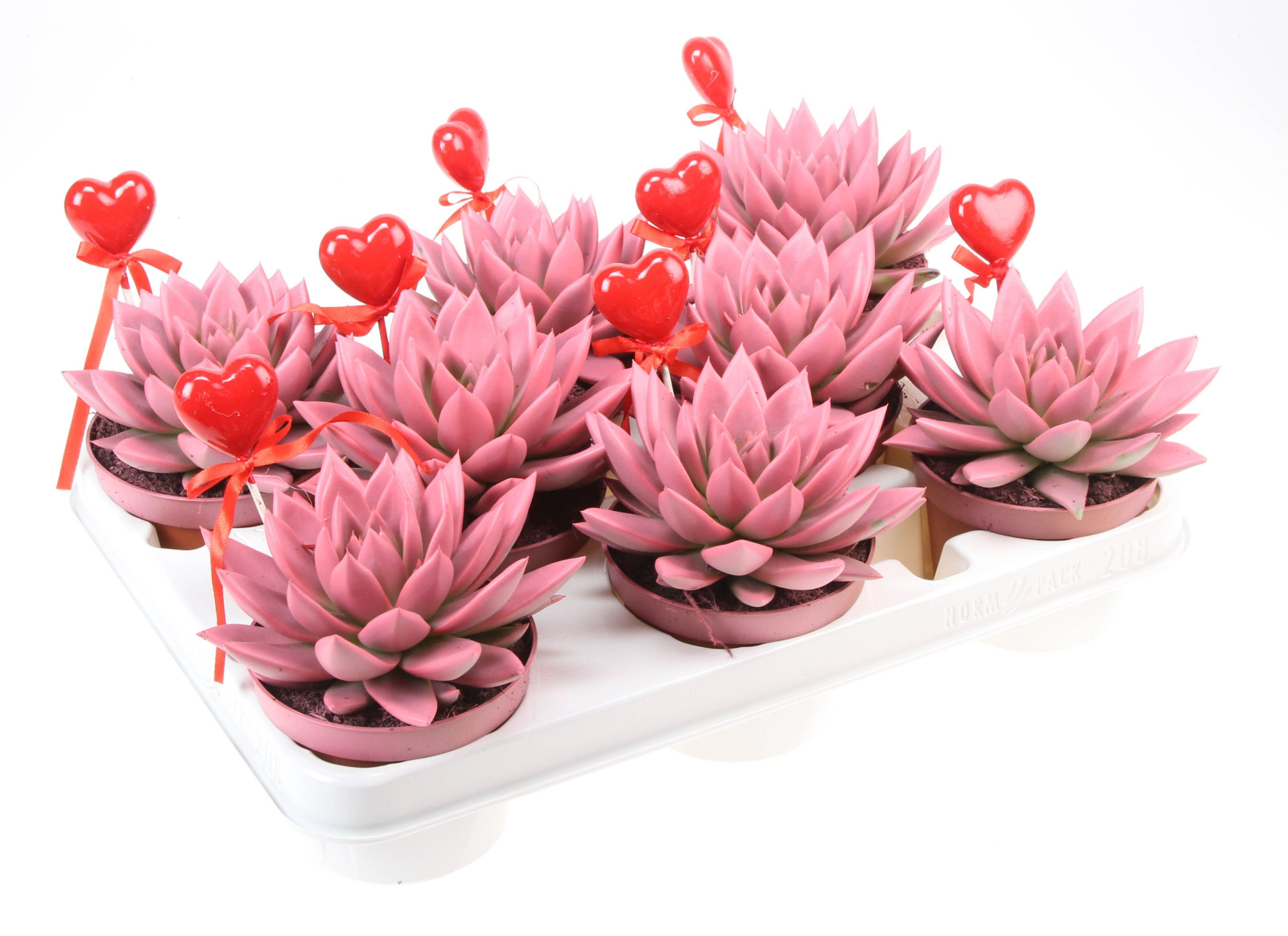 Miranda roze+hartje, D 10,5 cm