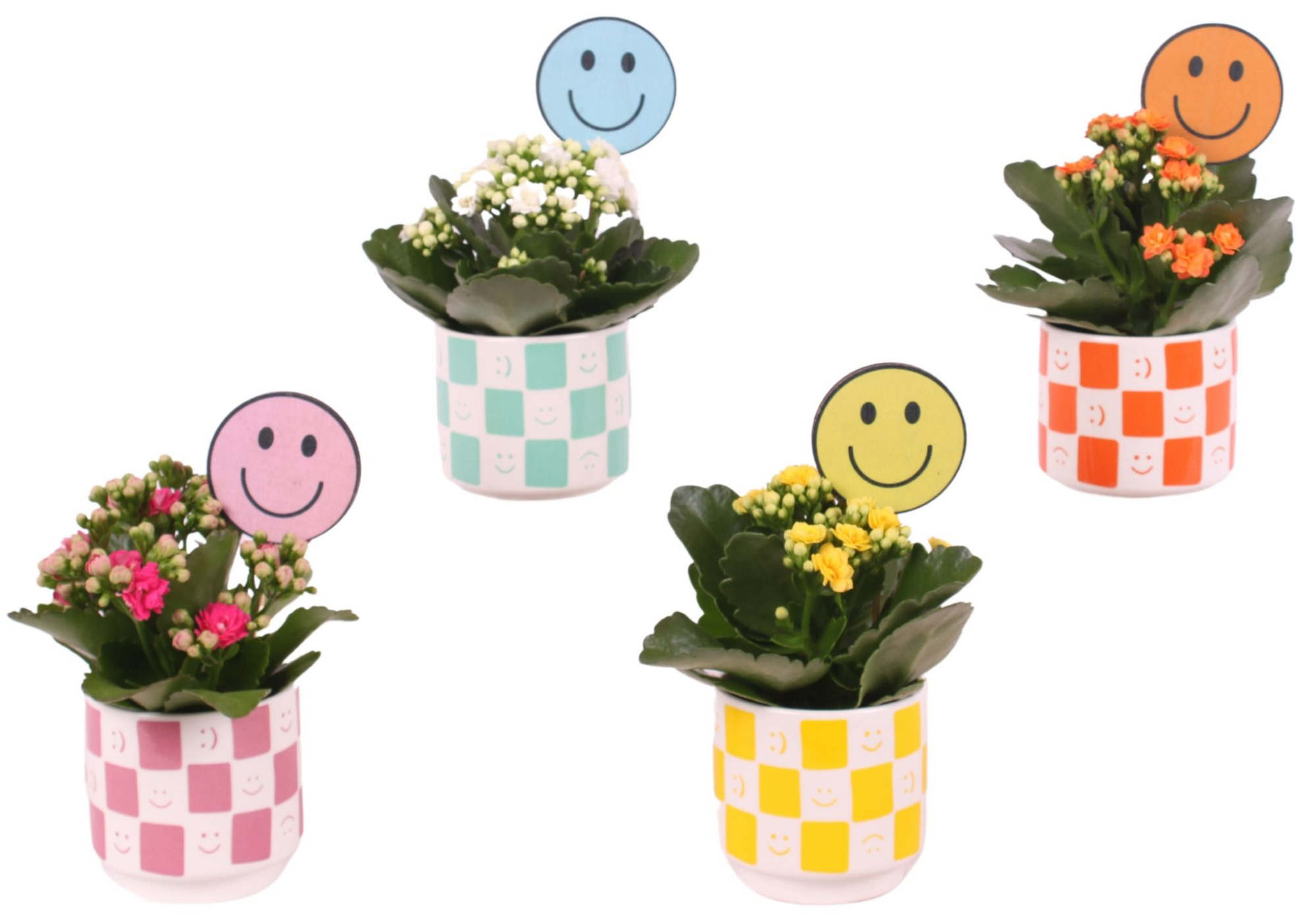 Thank you Teacher Arr. Indoor Ceramic Pot Round Smiley Ø08cm 1PP, D 8 cm