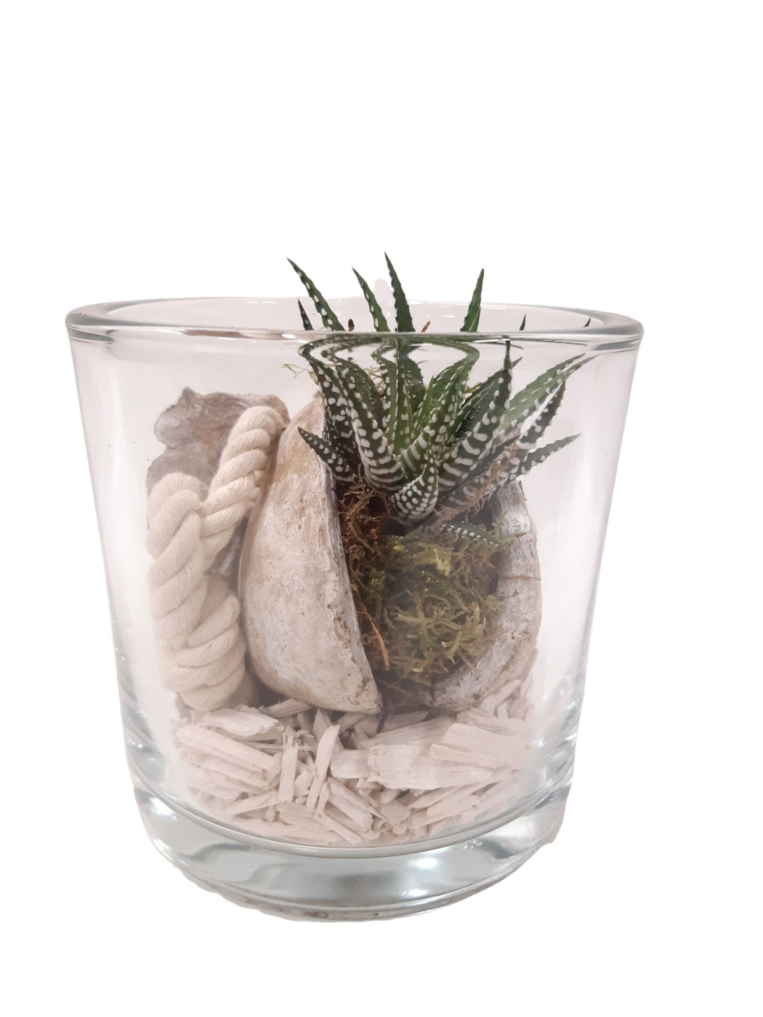 BNG14WHI Cil glas dik Haw+Buddha Nut + deco wit, D 14 cm