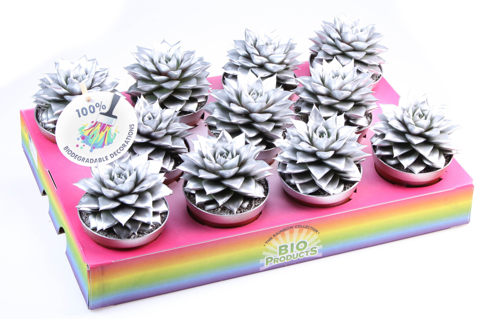 Bio purper rainbow silver, D 8,5