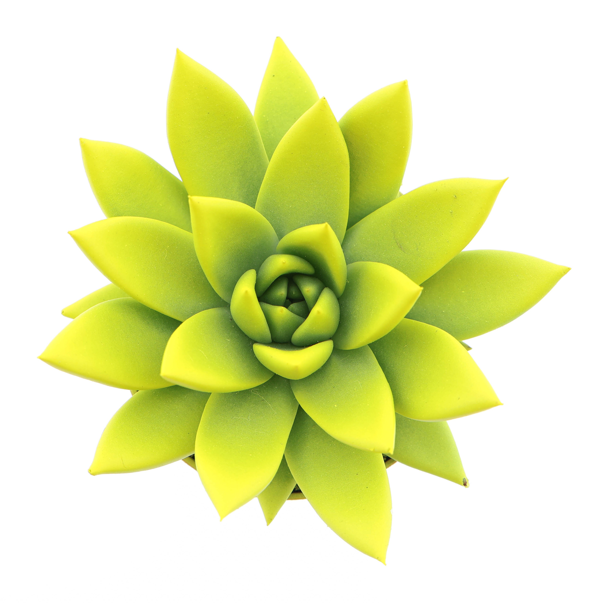 Rainbow yellow, D 8,5 cm