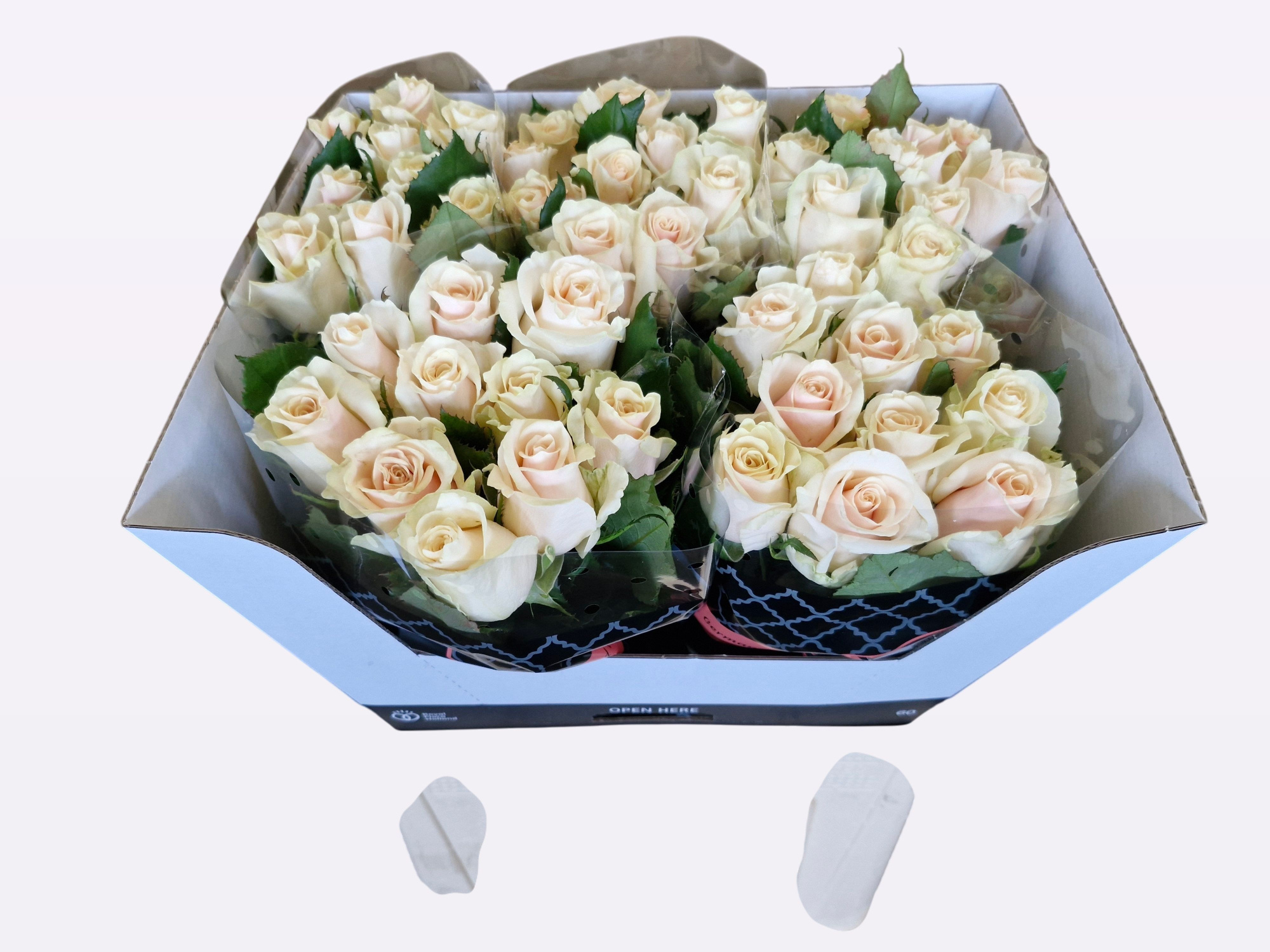 Роза од. Талеа+ 60, шт.