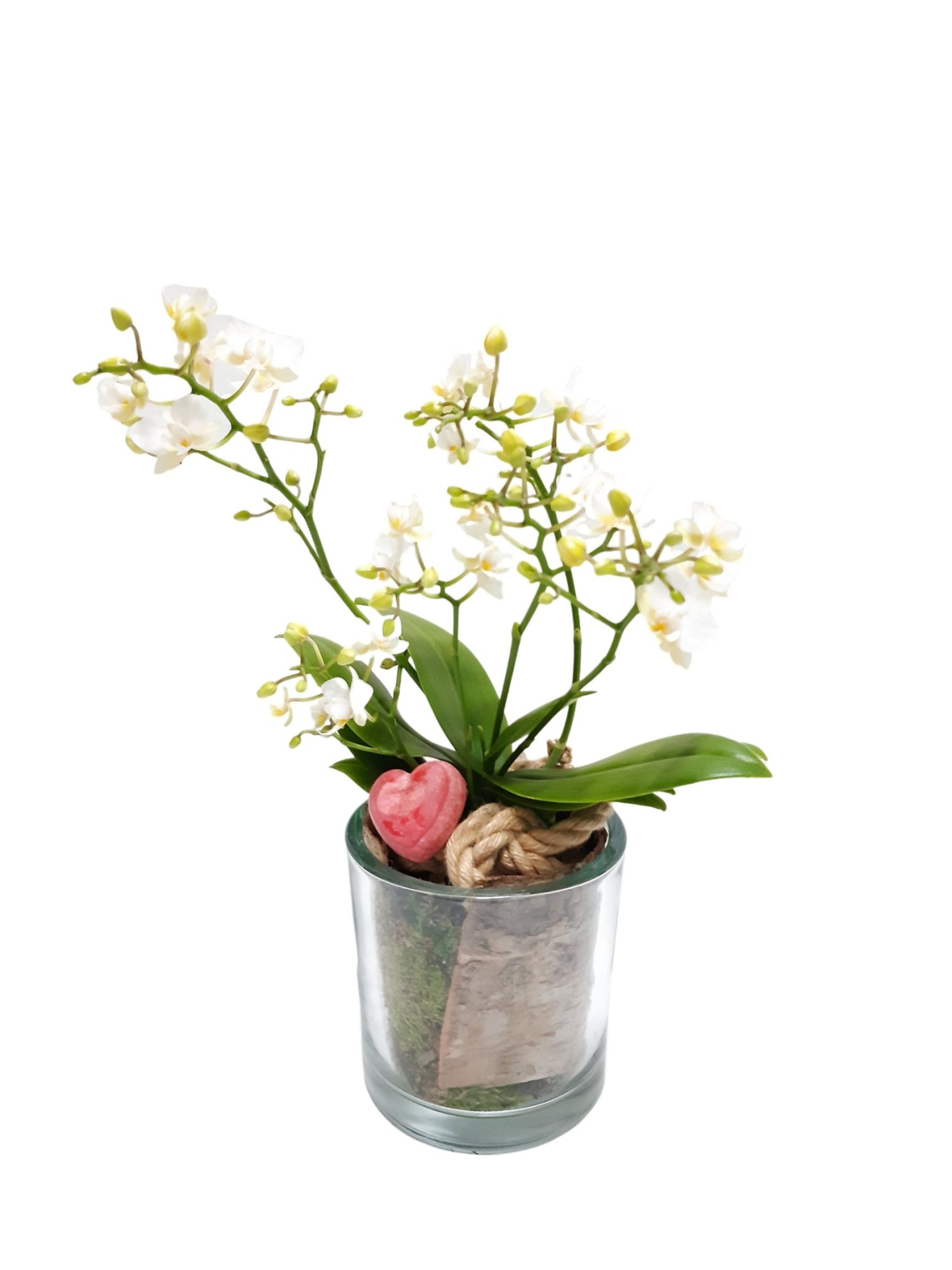 GCI14PWOHRT Heavy Glass 14cm Wild Orchids 4t+ with Aroma Heart, D 14 cm