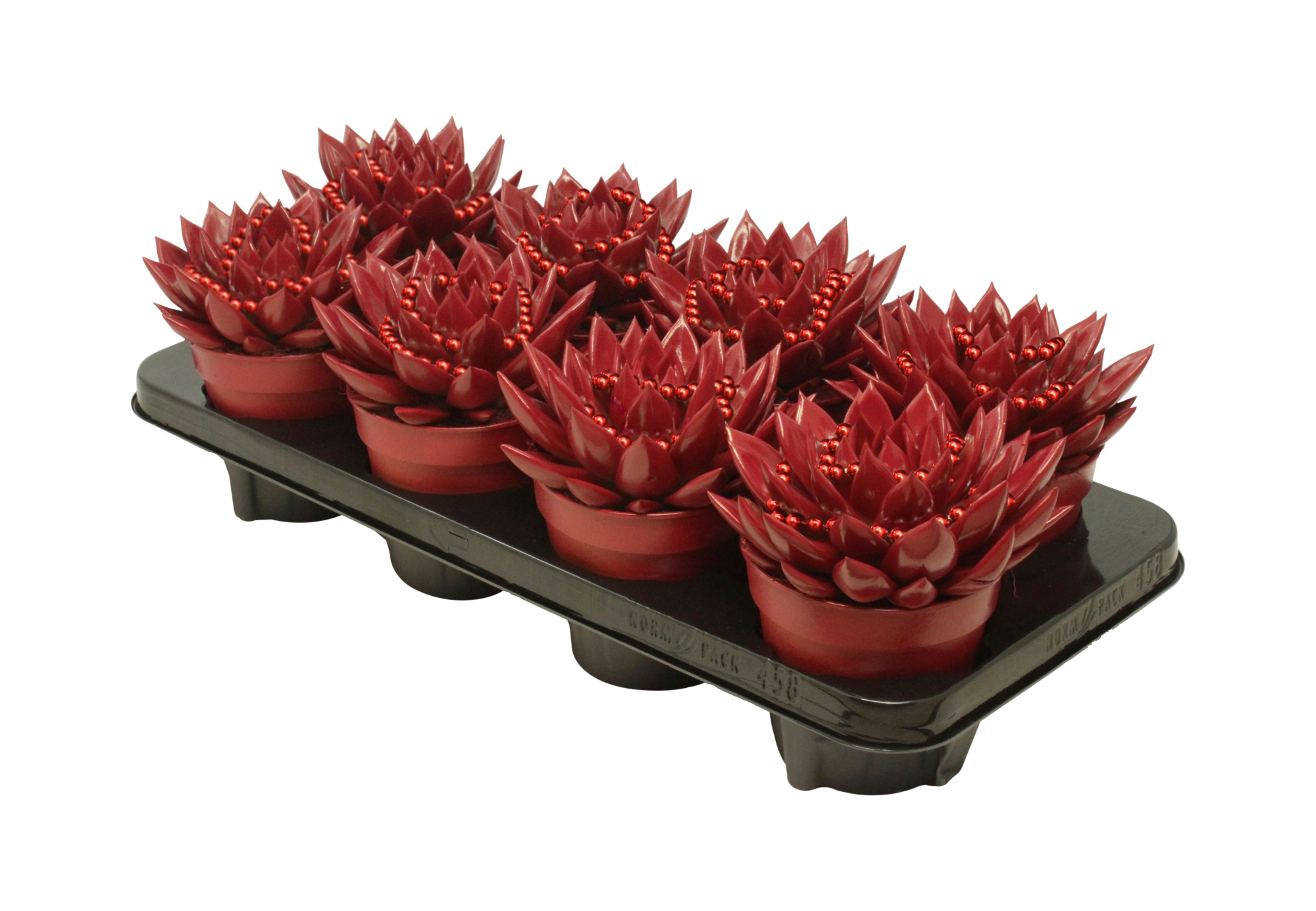 Miranda coloured red + chain, D 12