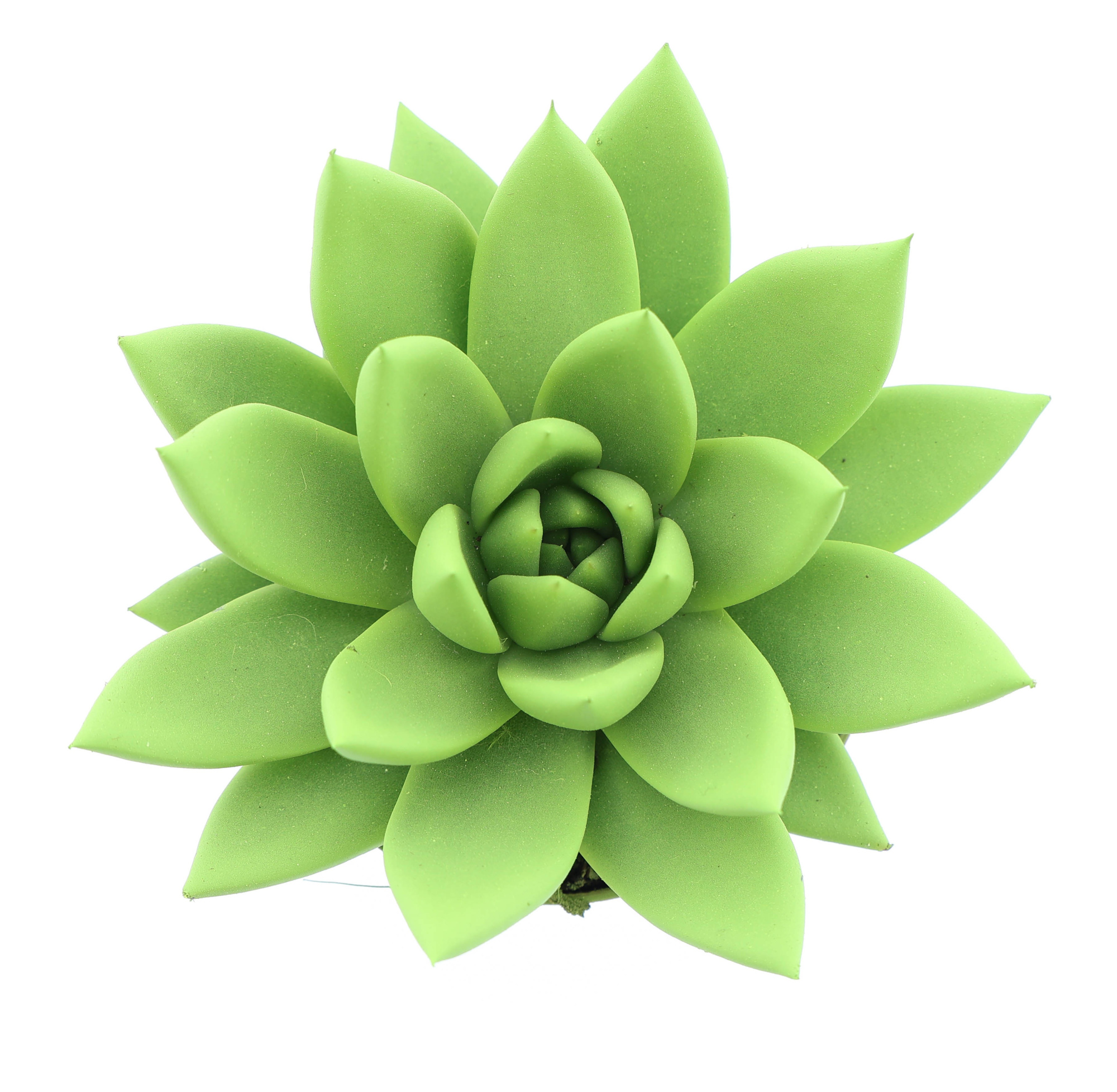 Rainbow yellow green, D 8,5 cm