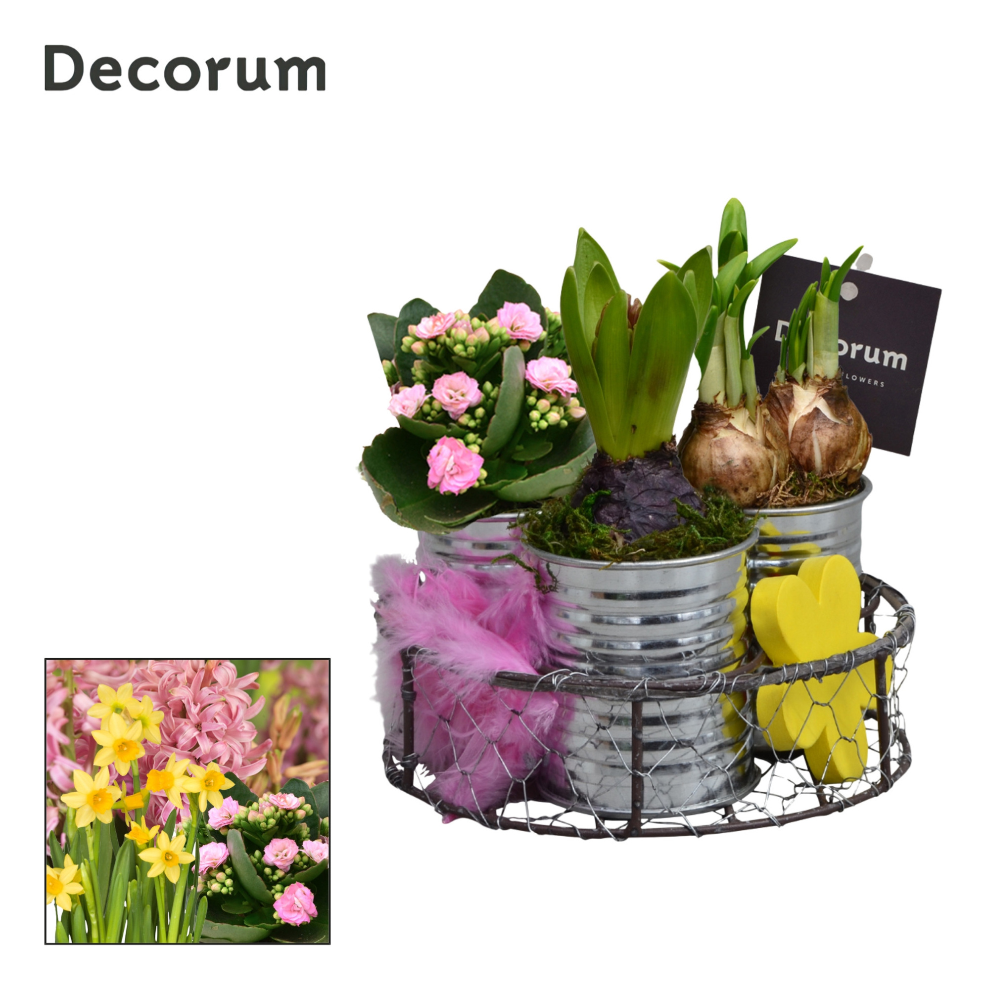 Calandiva & Narcis Brocante Zink GM HL29687, D 17