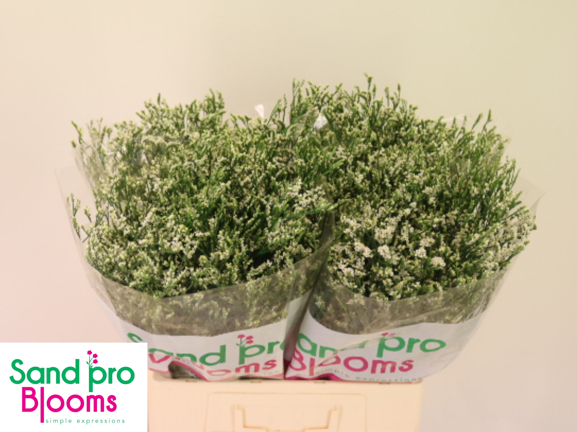 Лимониум Кул Даймонд 60, шт.