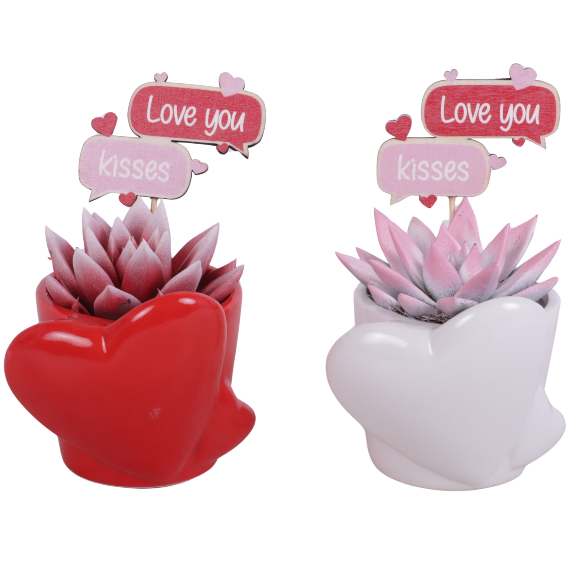 Valentine Arr. Succulent Ceramic Heart pot Red/White Ø10cm 1PP, D 10