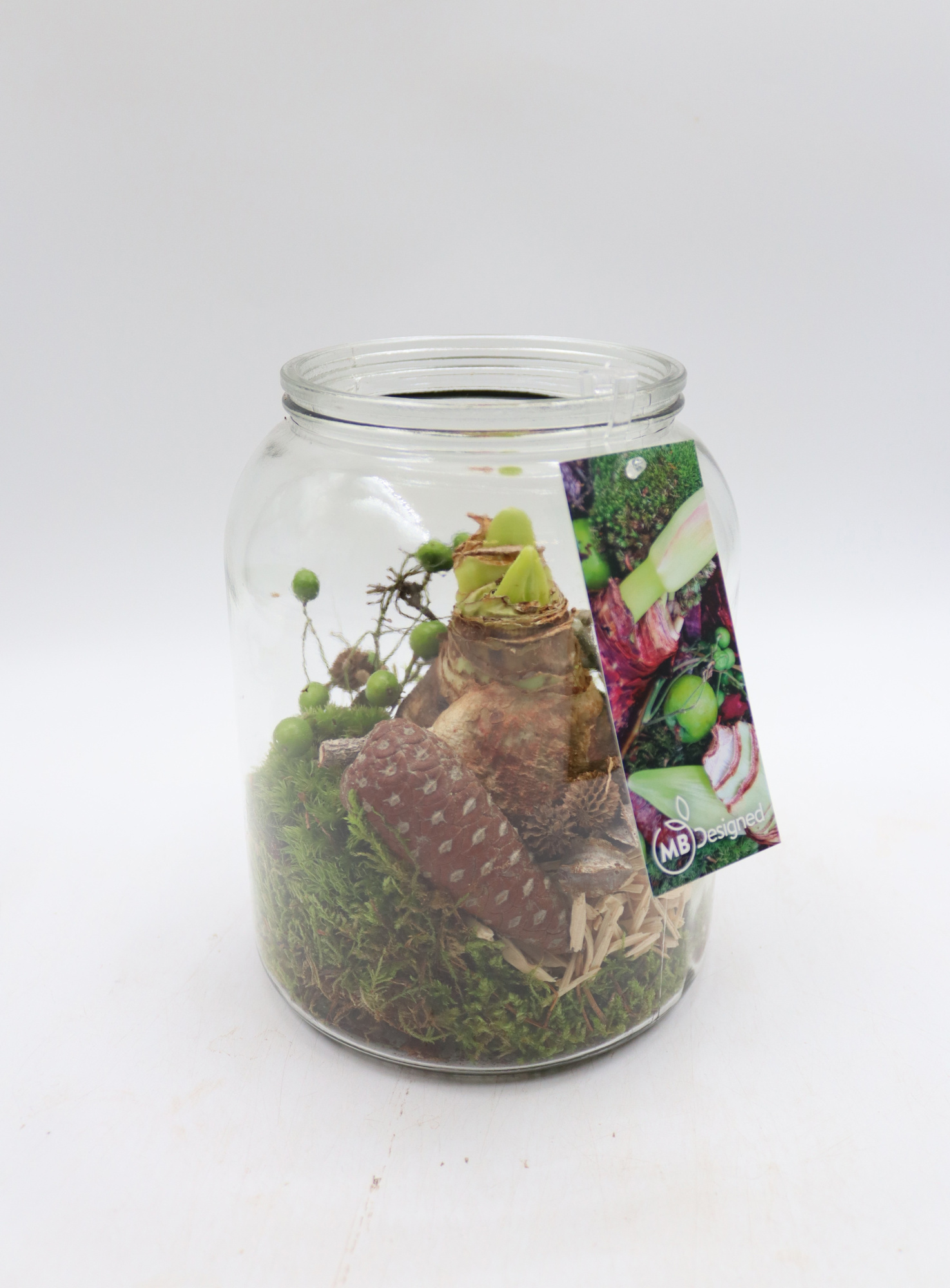 Amaryllis Dik glas, D 16 cm