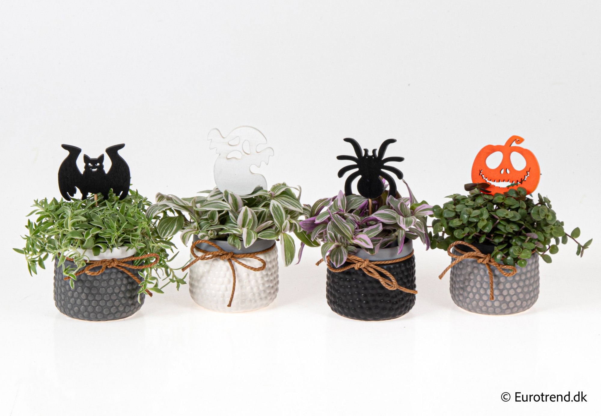 Green Mix in Halloween ceramic 2025, D 6 cm