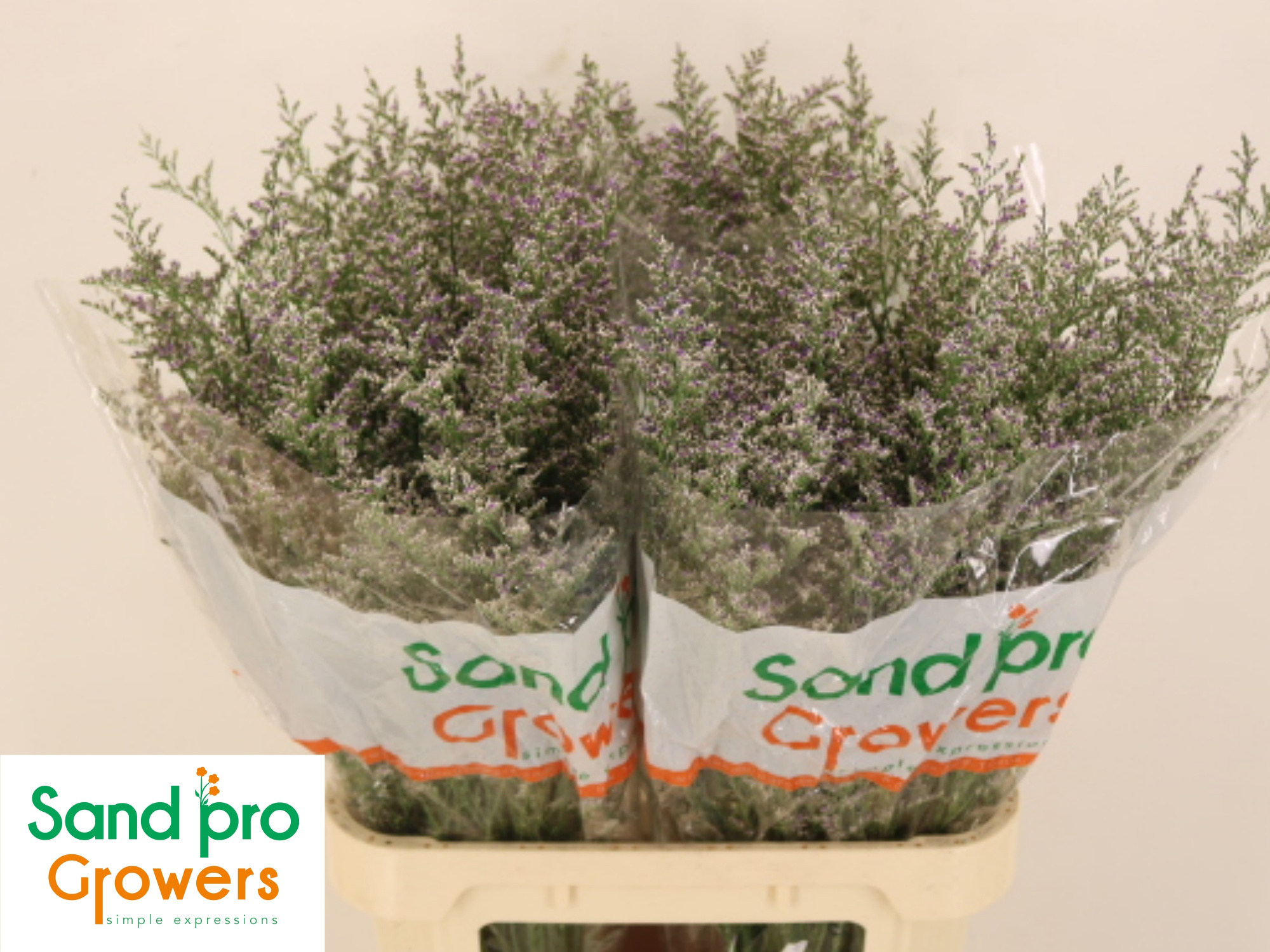 Лимониум Мисти Блю 90, шт.