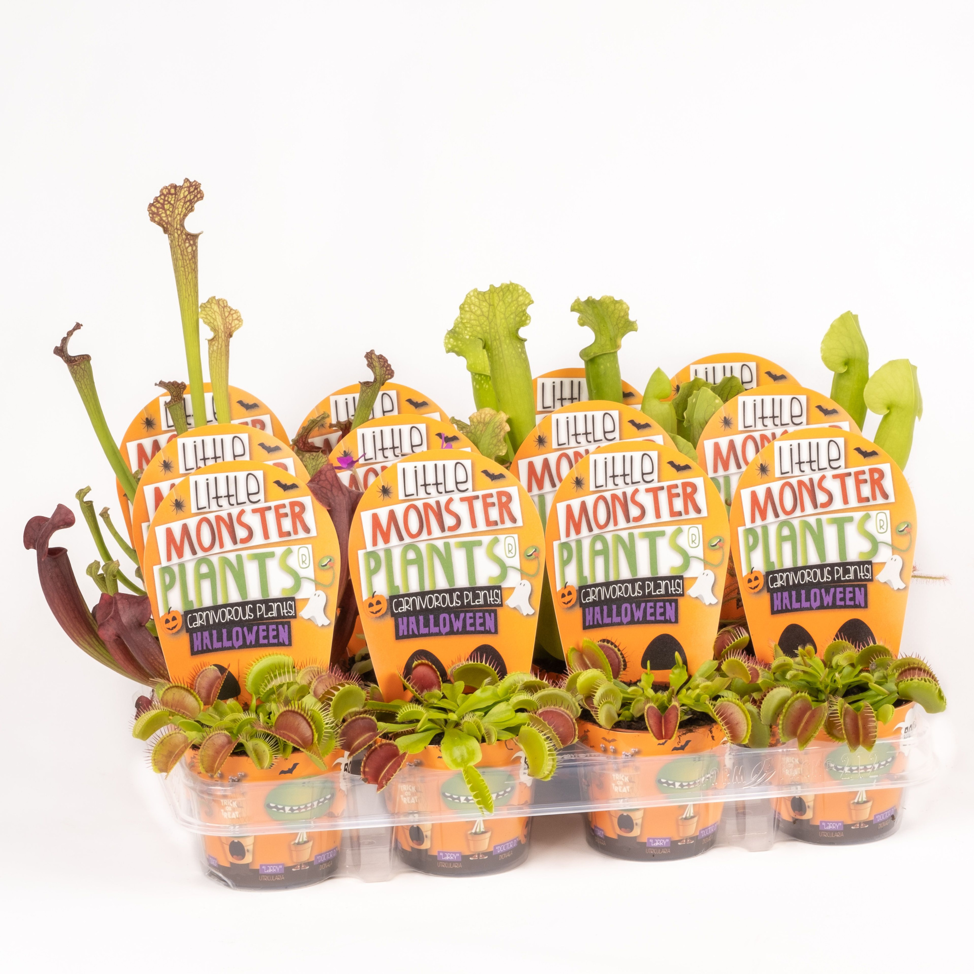 Little Monster Plants Halloween, D 8,5 cm