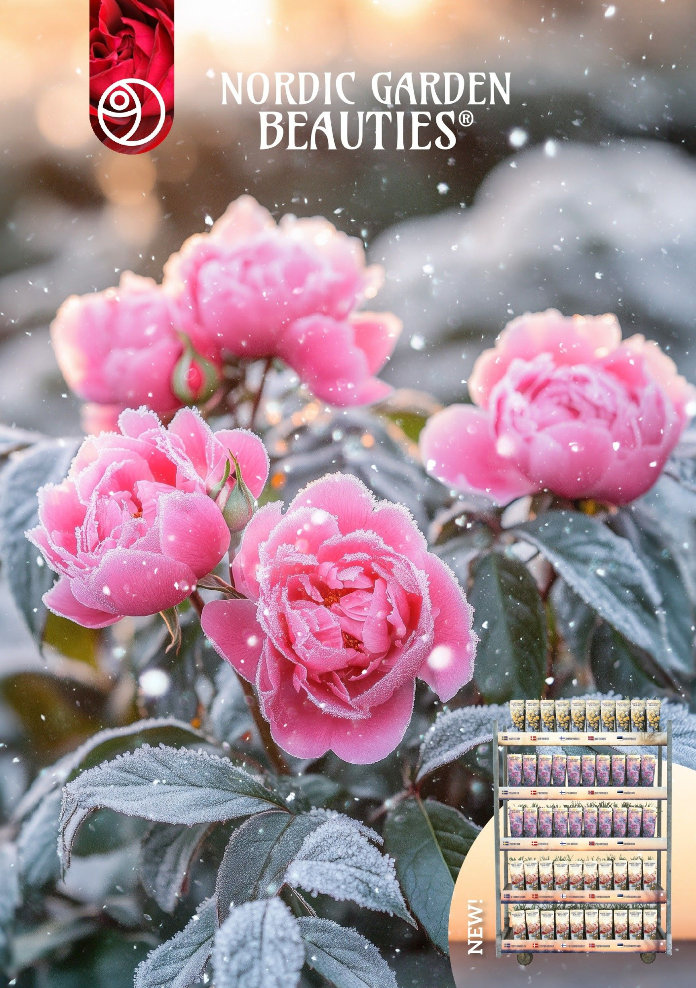 Nordic Roses 2L, D 11 cm