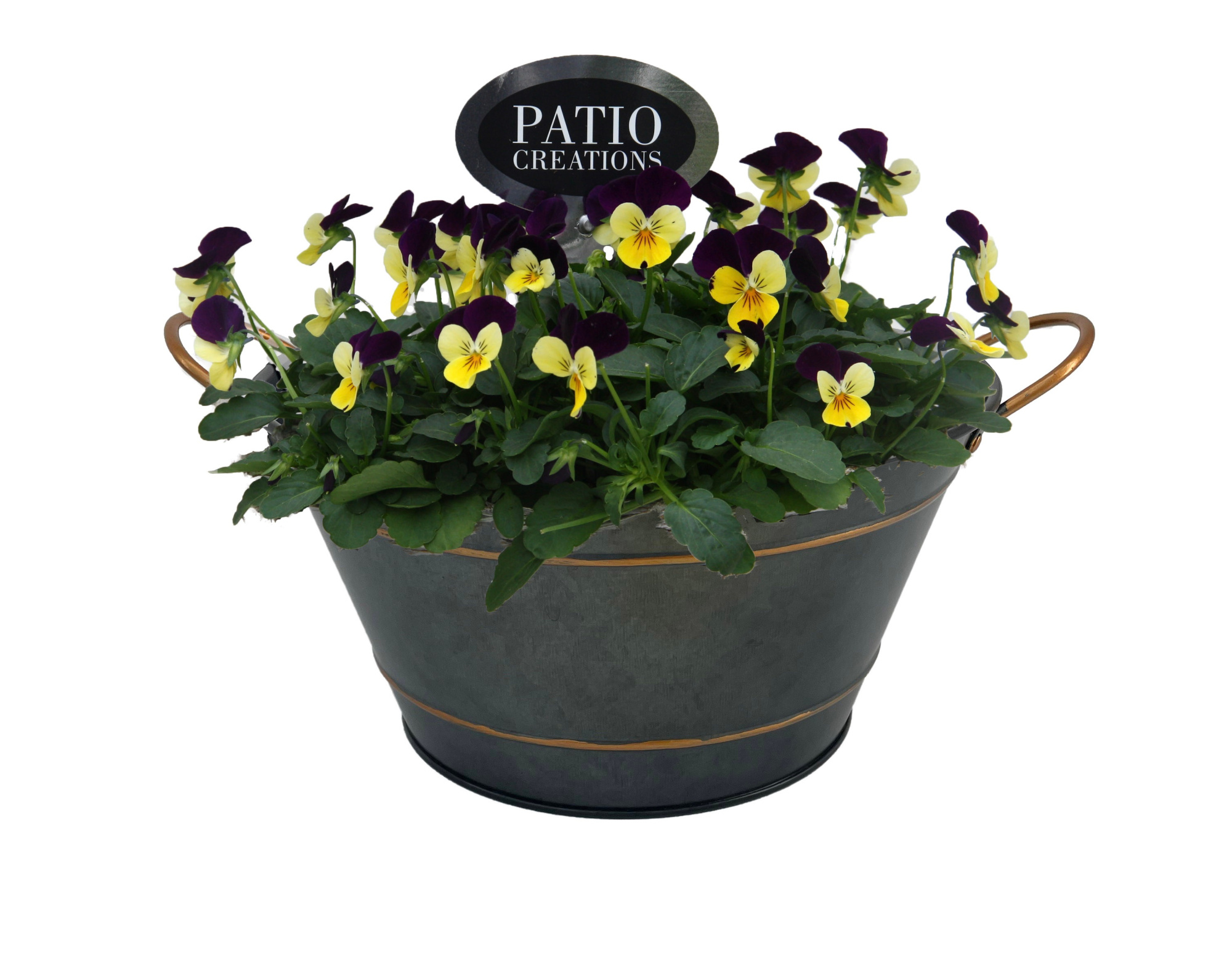 V839-9323 Viola Sterre zink rond, D 22 cm