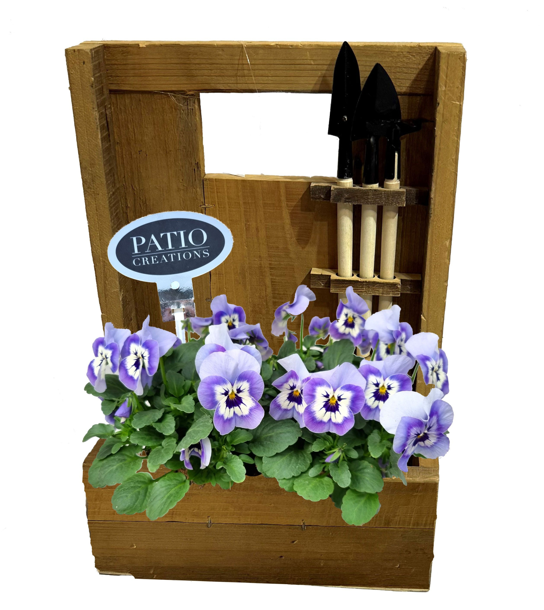 V830-9001 Viola Boaz tuinierset, D 21