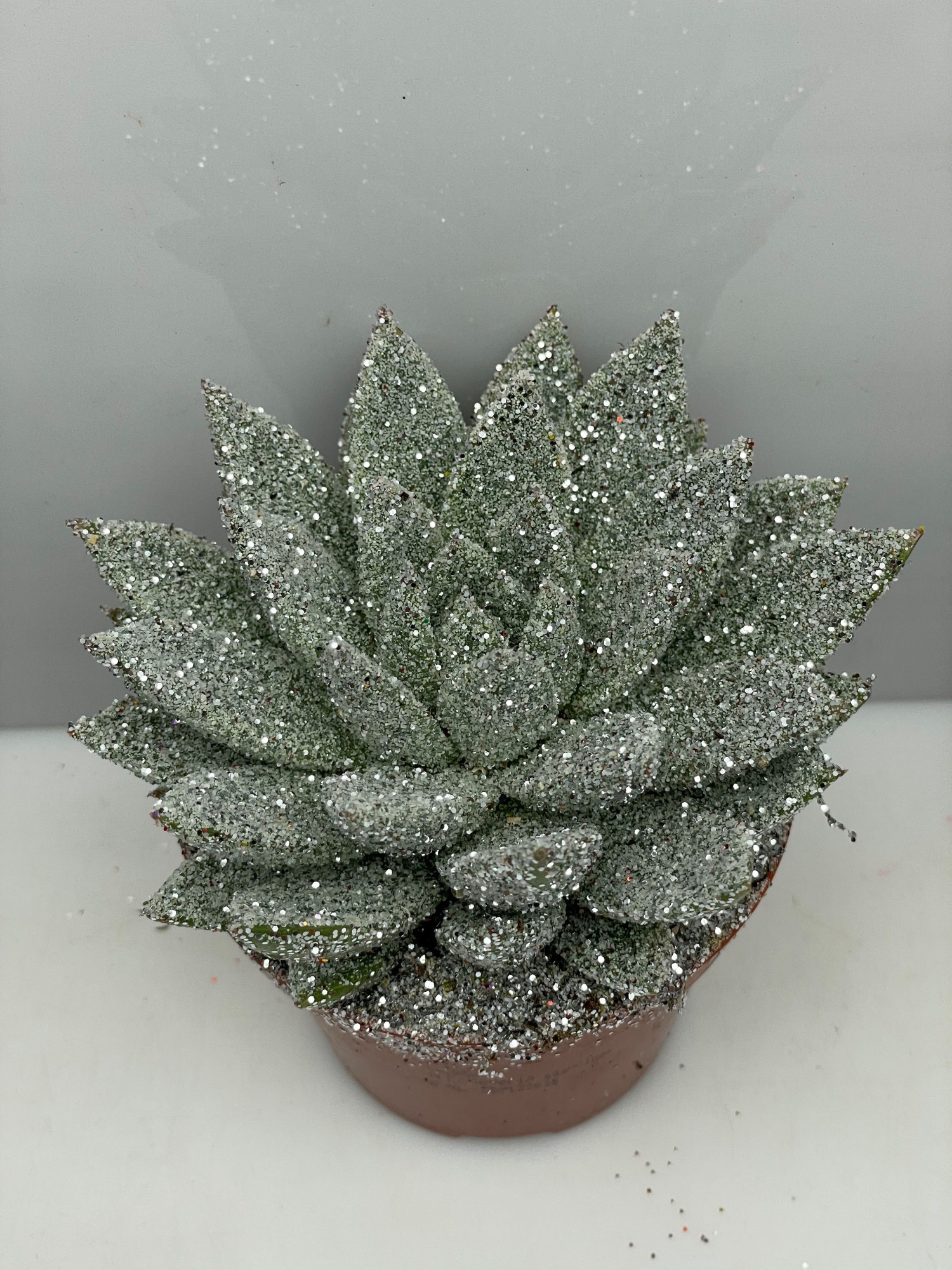 451 Kerstster BIO Twinkle glitter zilver 8,5 cm, D 8,5 cm